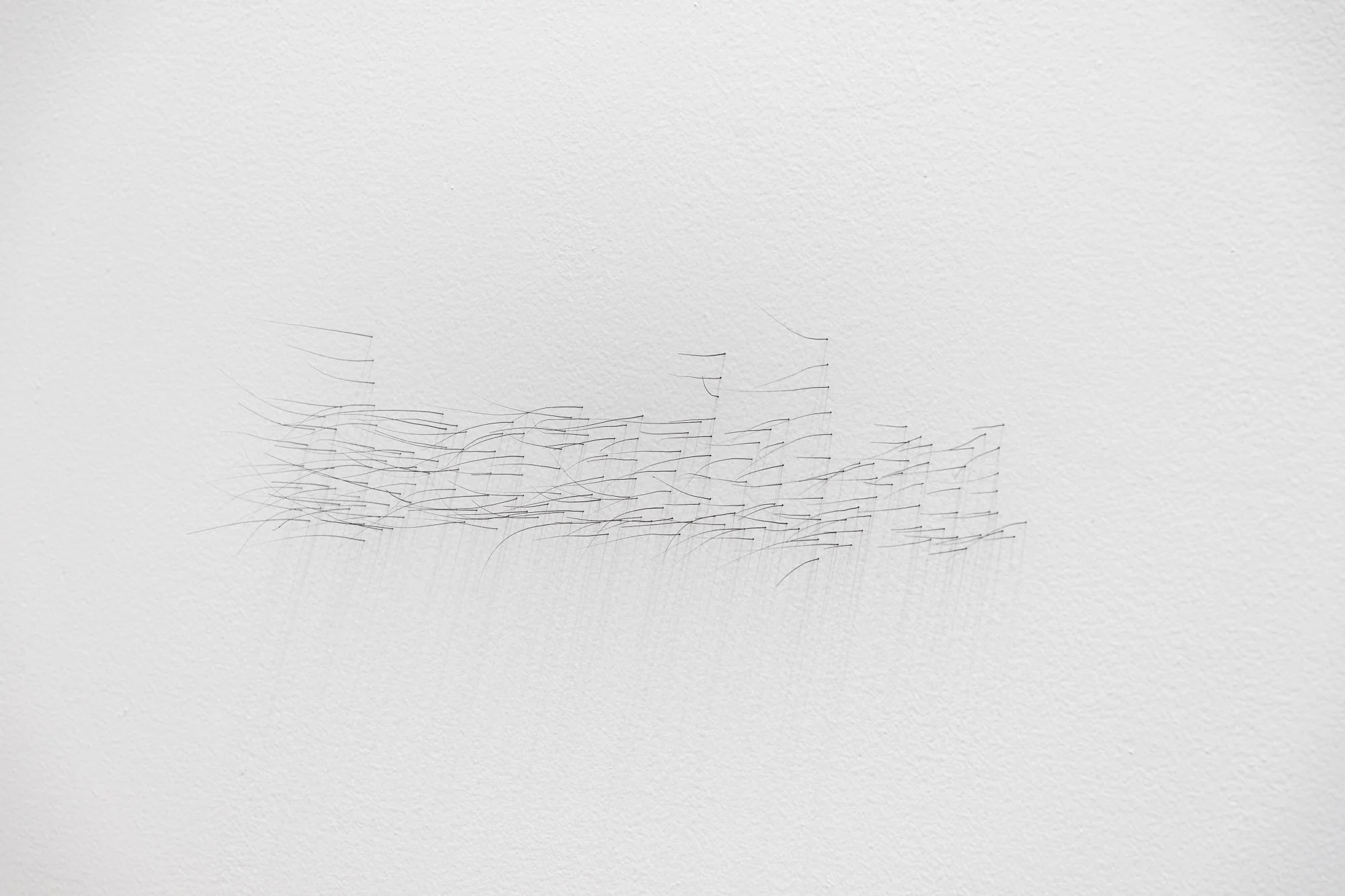 ₍^. .^₎⟆ ~&~ /|\ ^._.^ /|\, 2025, exhibition installation view
