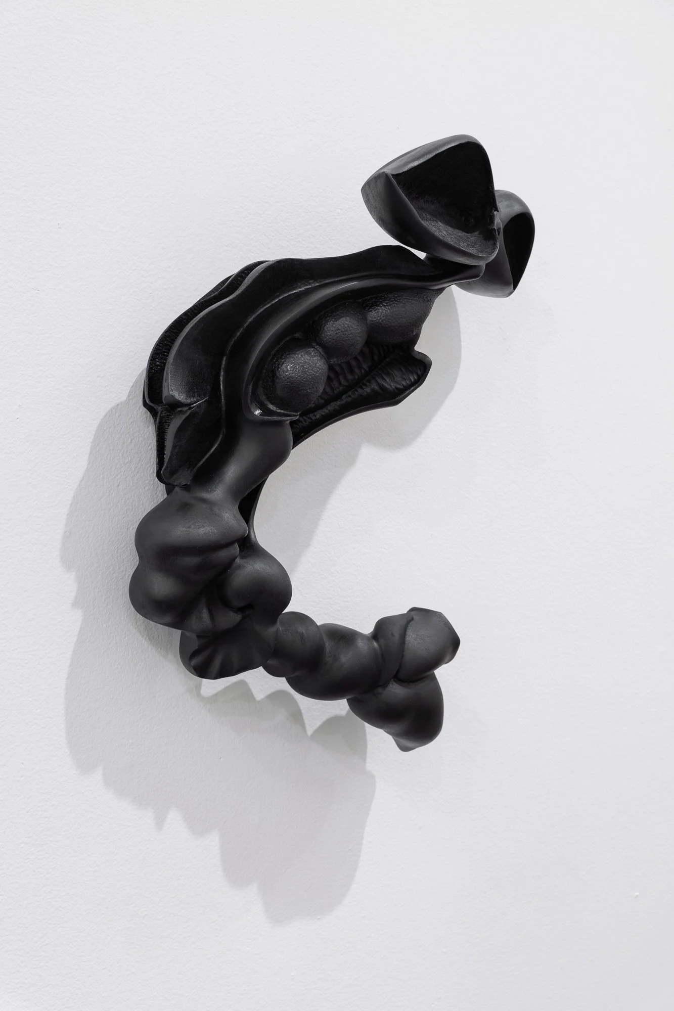 Affinity, 2026, exhibition installation view