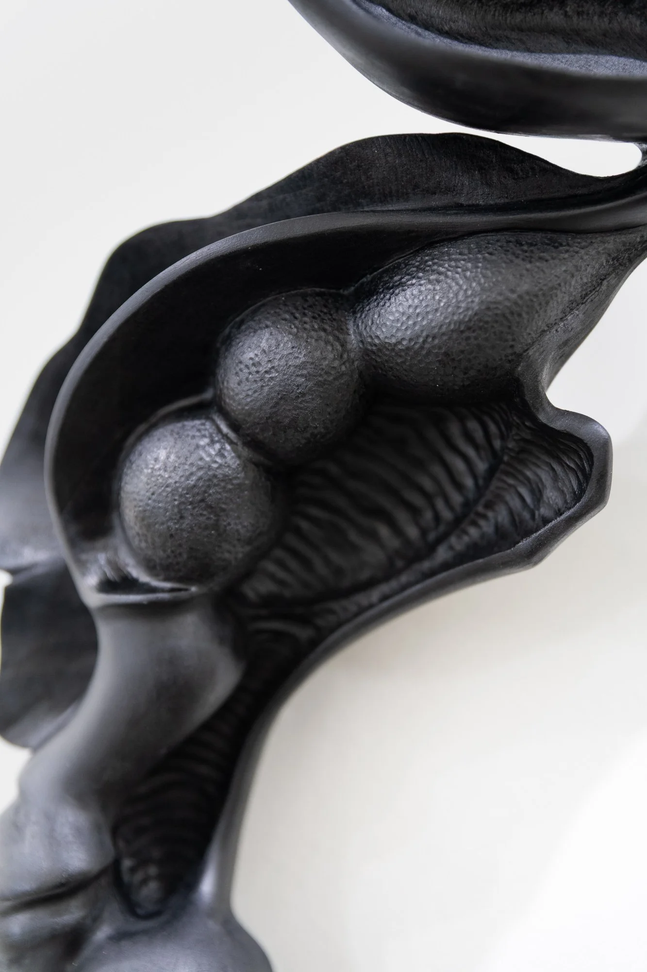 Affinity, 2026, exhibition installation view