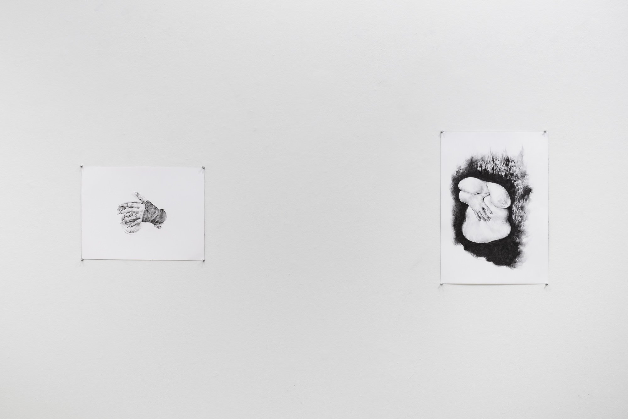 Terroir, 2026, exhibition installation view