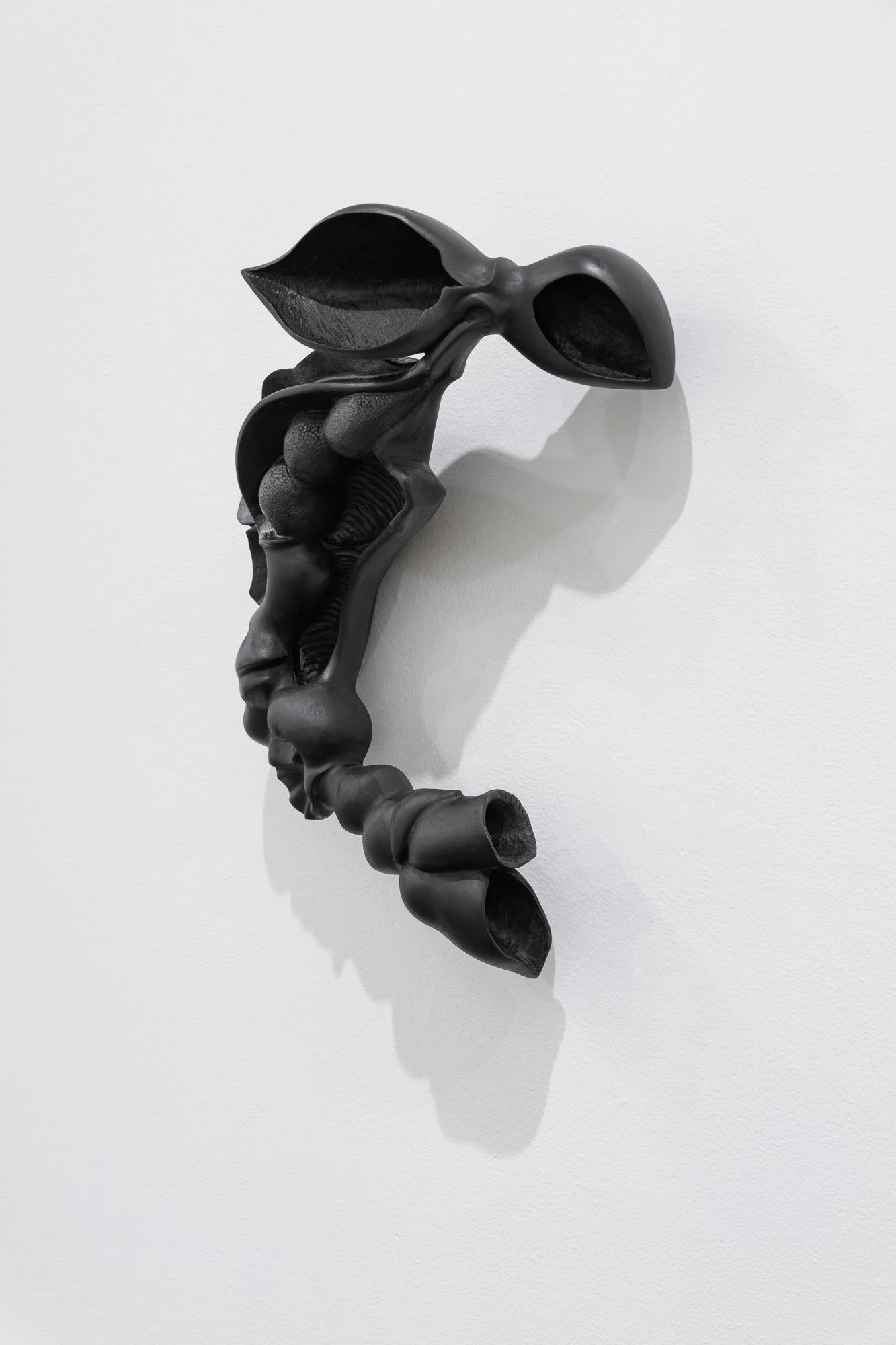 Affinity, 2026, exhibition installation view