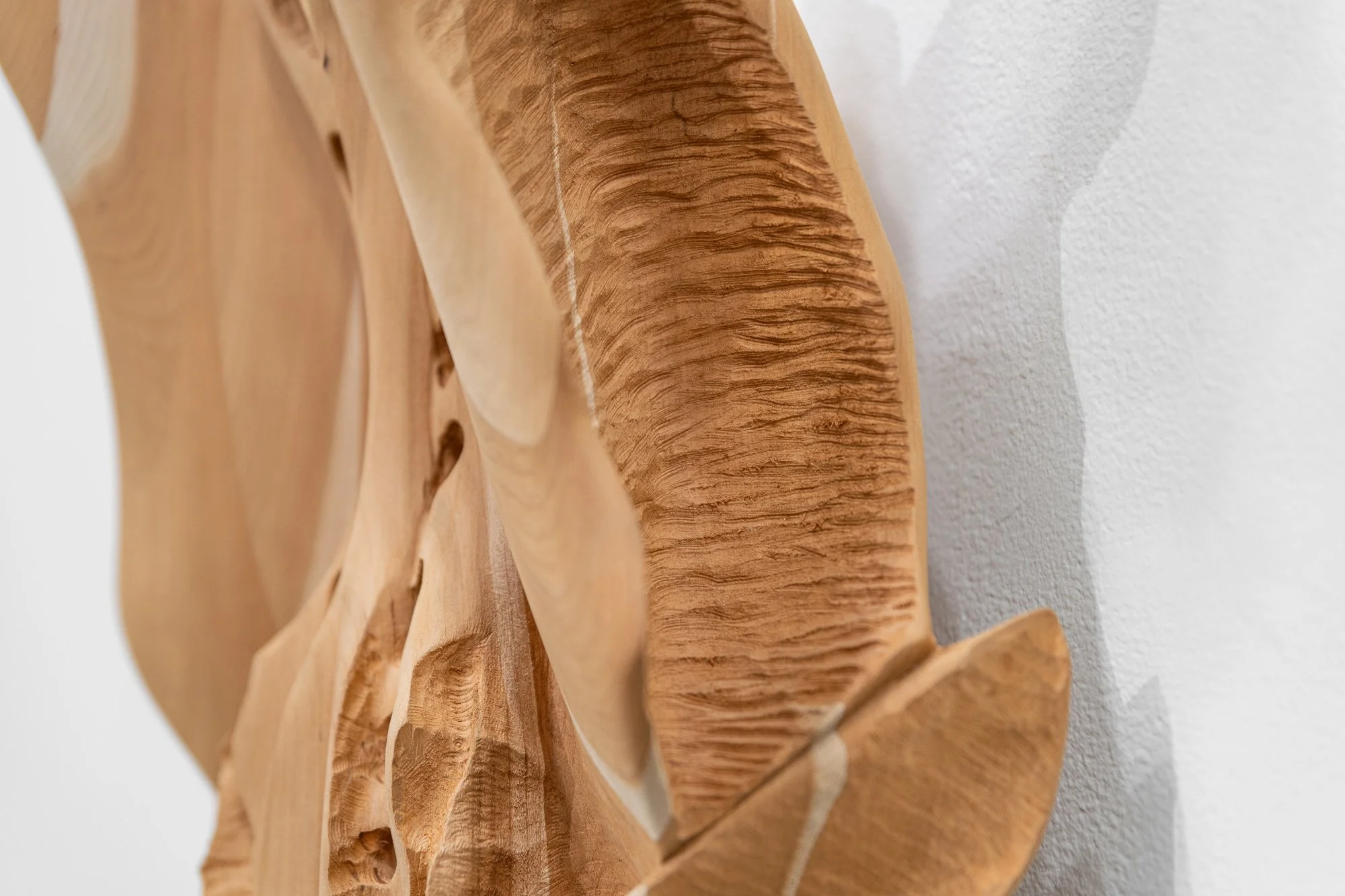 Affinity, 2026, exhibition installation view