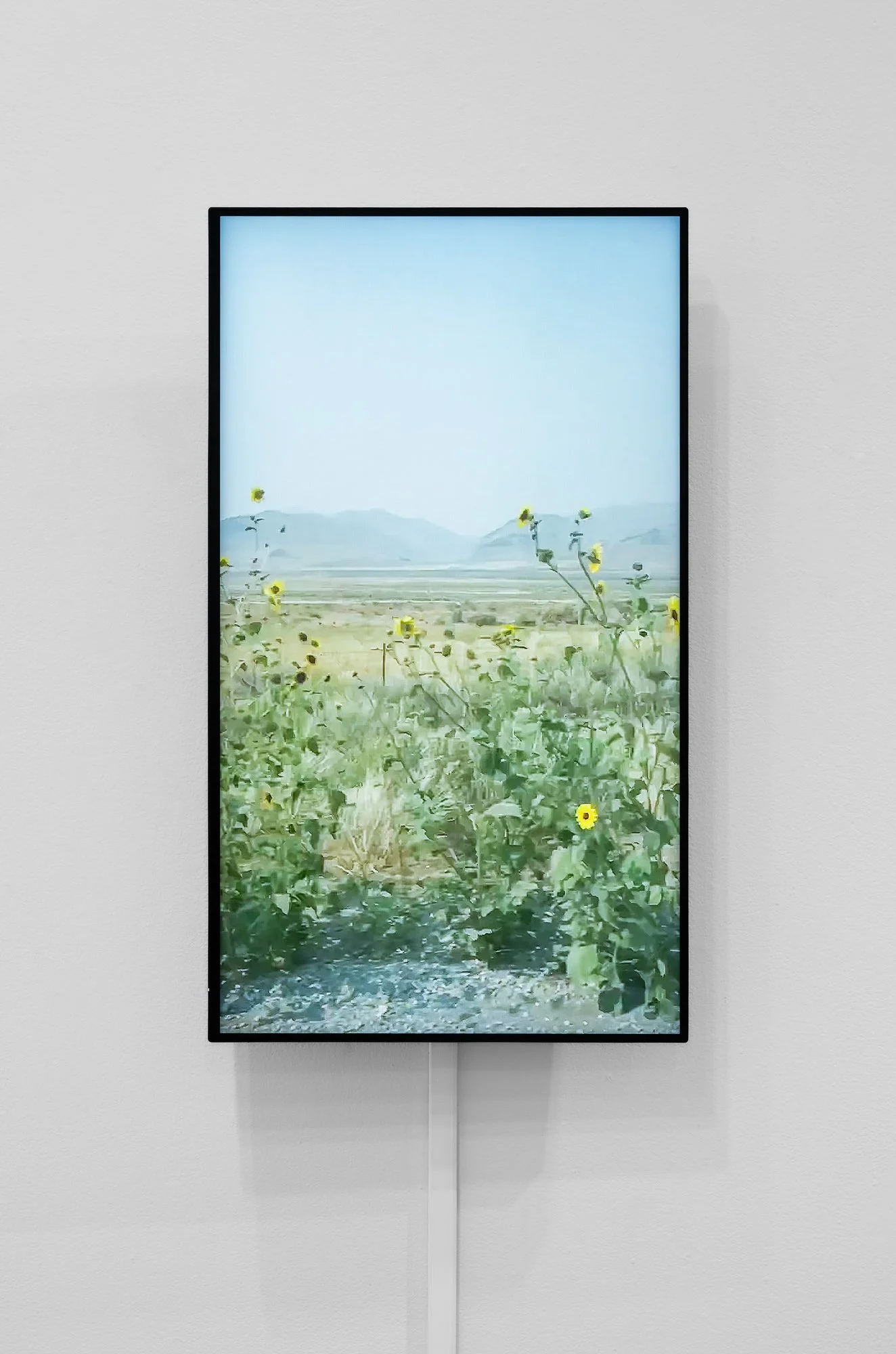 Might As Well Well, 2026, exhibition installation view