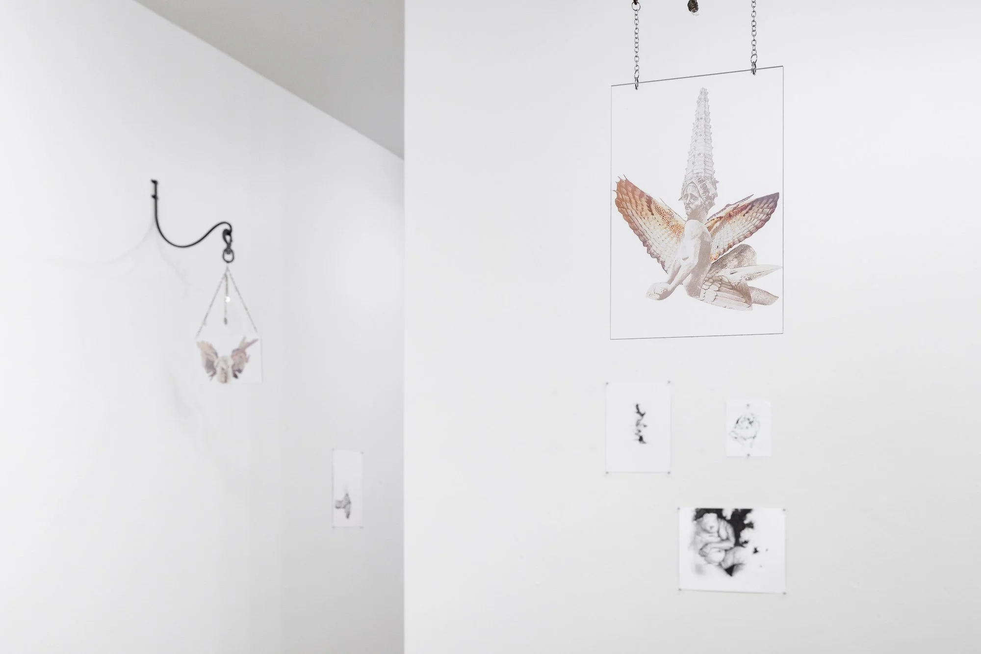 Terroir, 2026, exhibition installation view