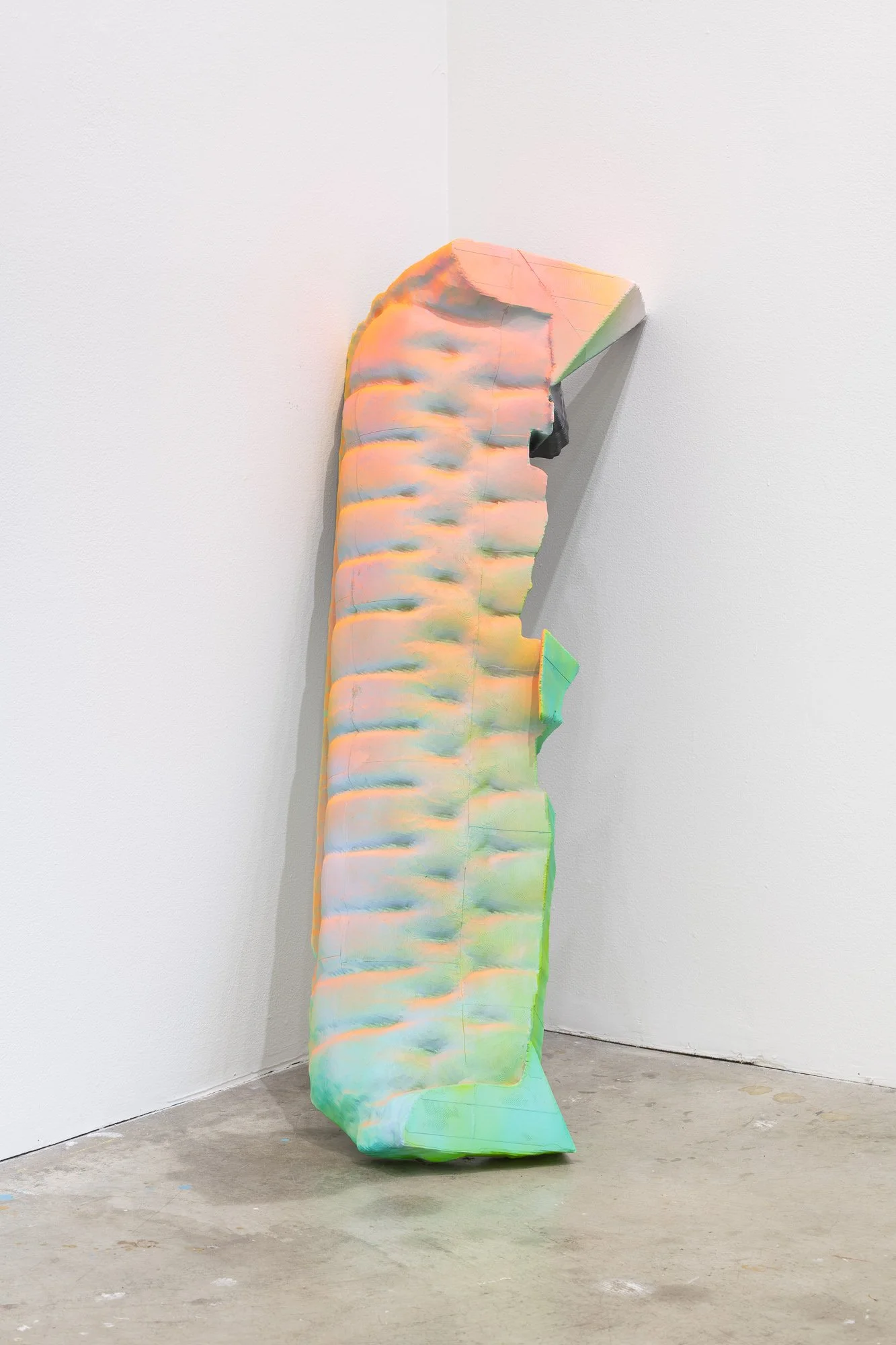 Domestic Topographies, 2026, exhibition installation view