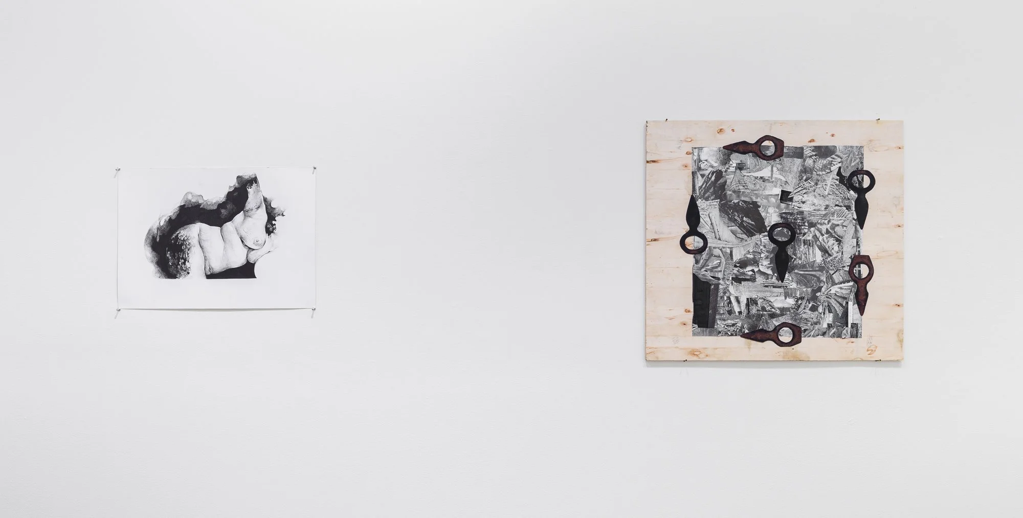 Terroir, 2026, exhibition installation view