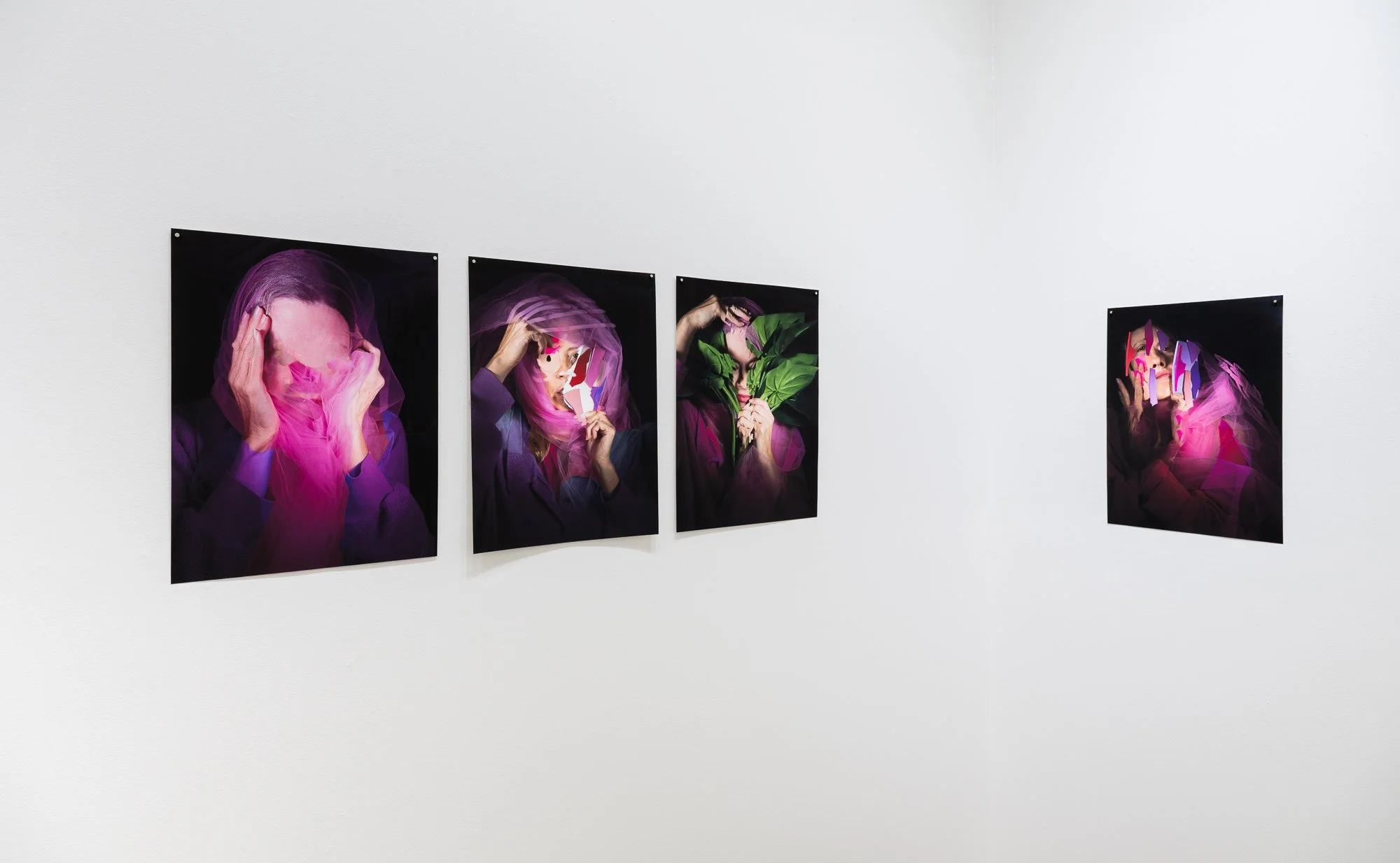 Most Nearly Perfect Ham, 2026, exhibition installation view