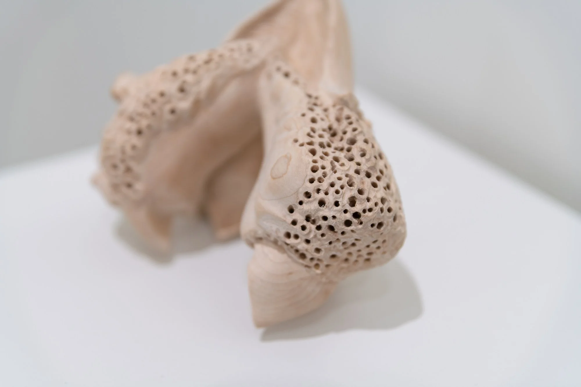 Affinity, 2026, exhibition installation view