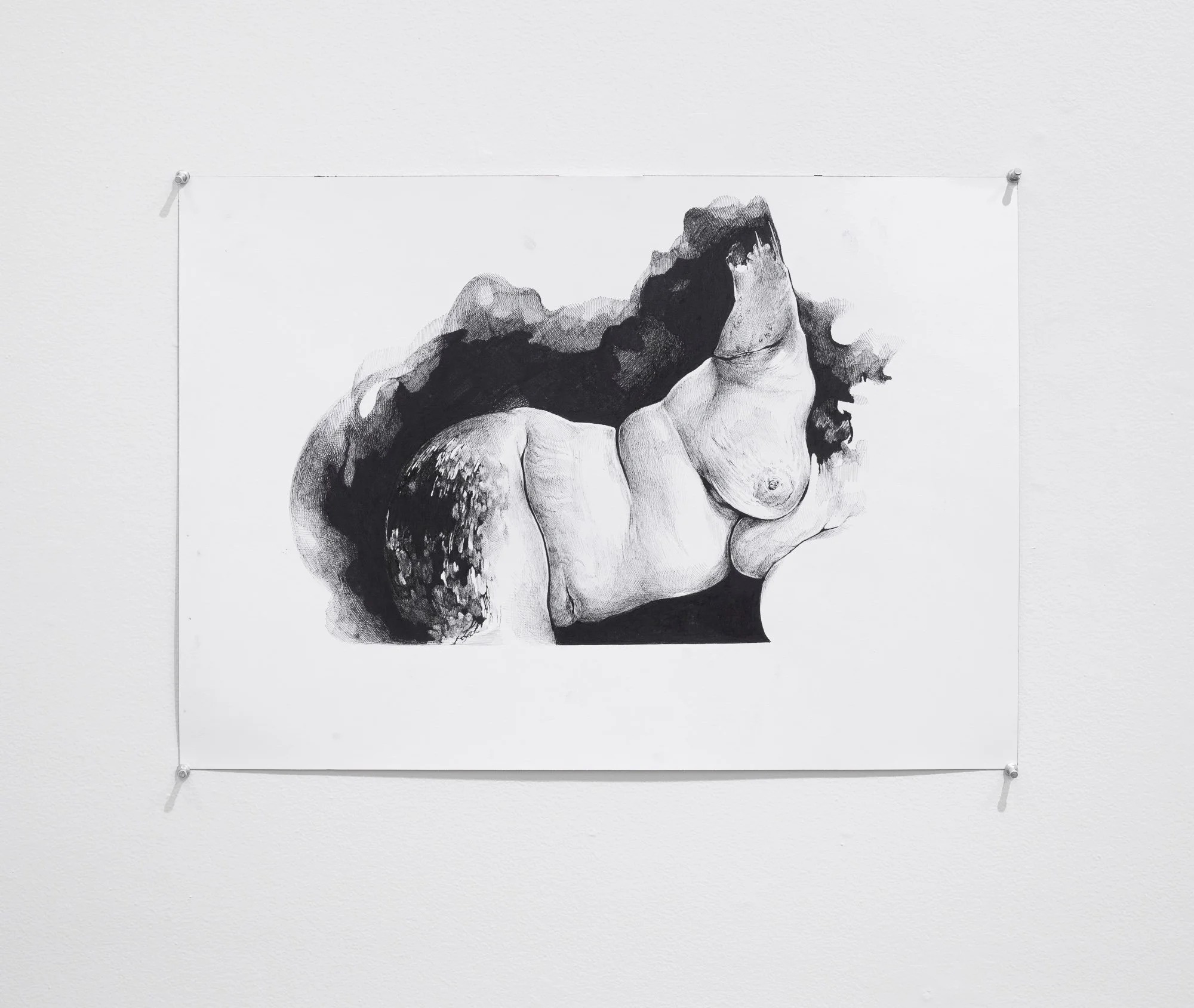 Terroir, 2026, exhibition installation view