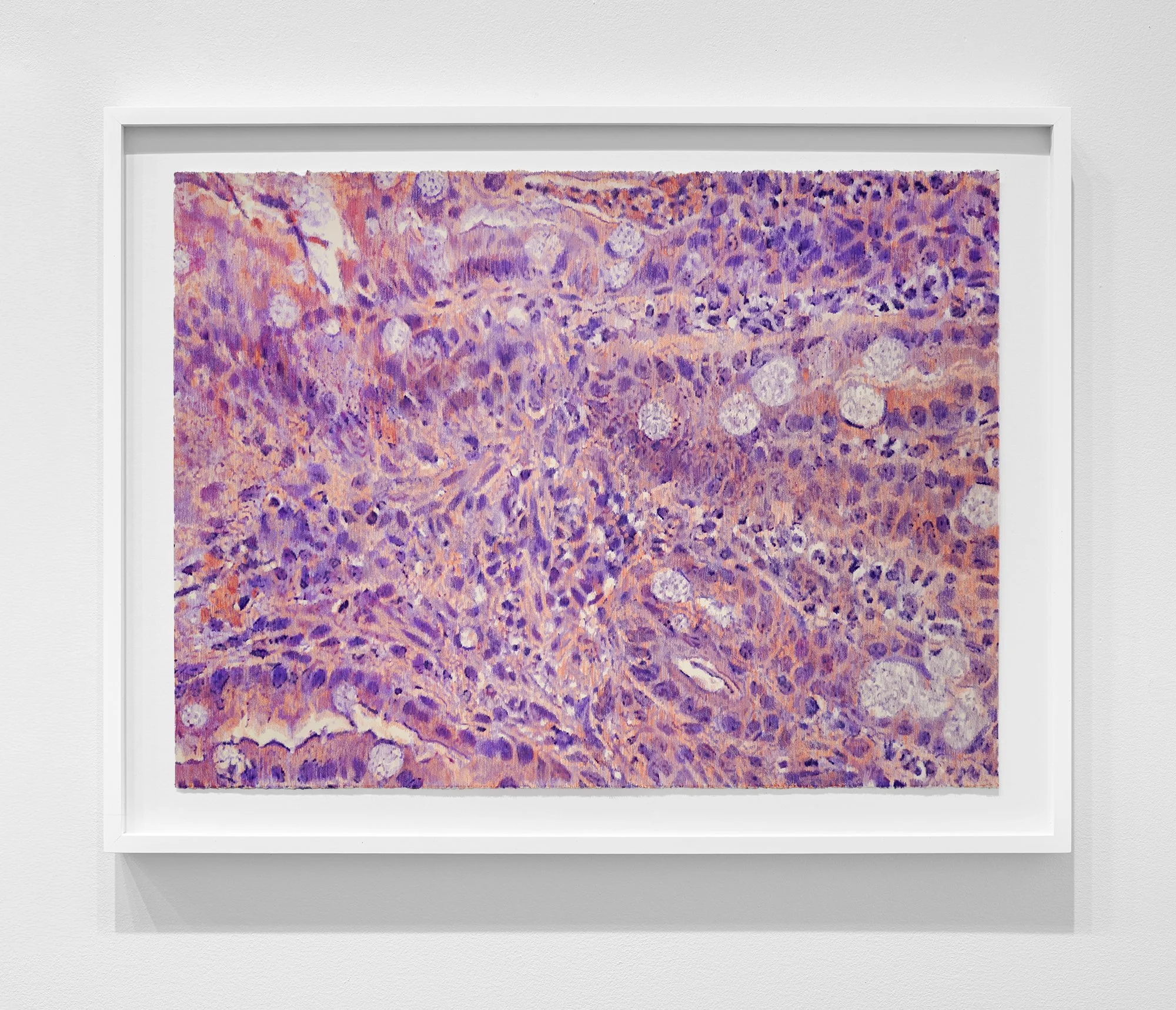 ₍^. .^₎⟆ ~&~ /|\ ^._.^ /|\, 2025, exhibition installation view