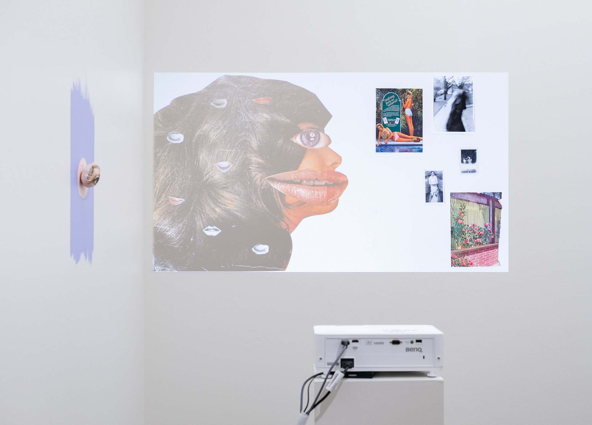 Most Nearly Perfect Ham, 2026, exhibition installation view