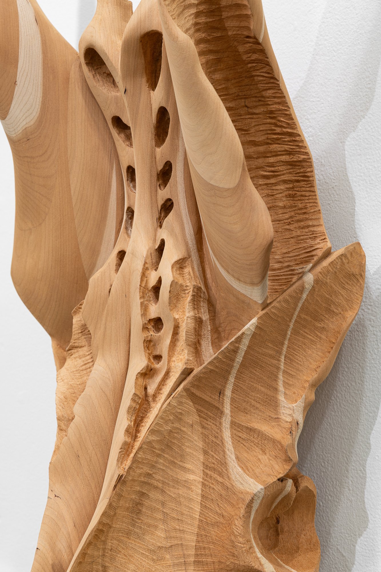 Affinity, 2026, exhibition installation view