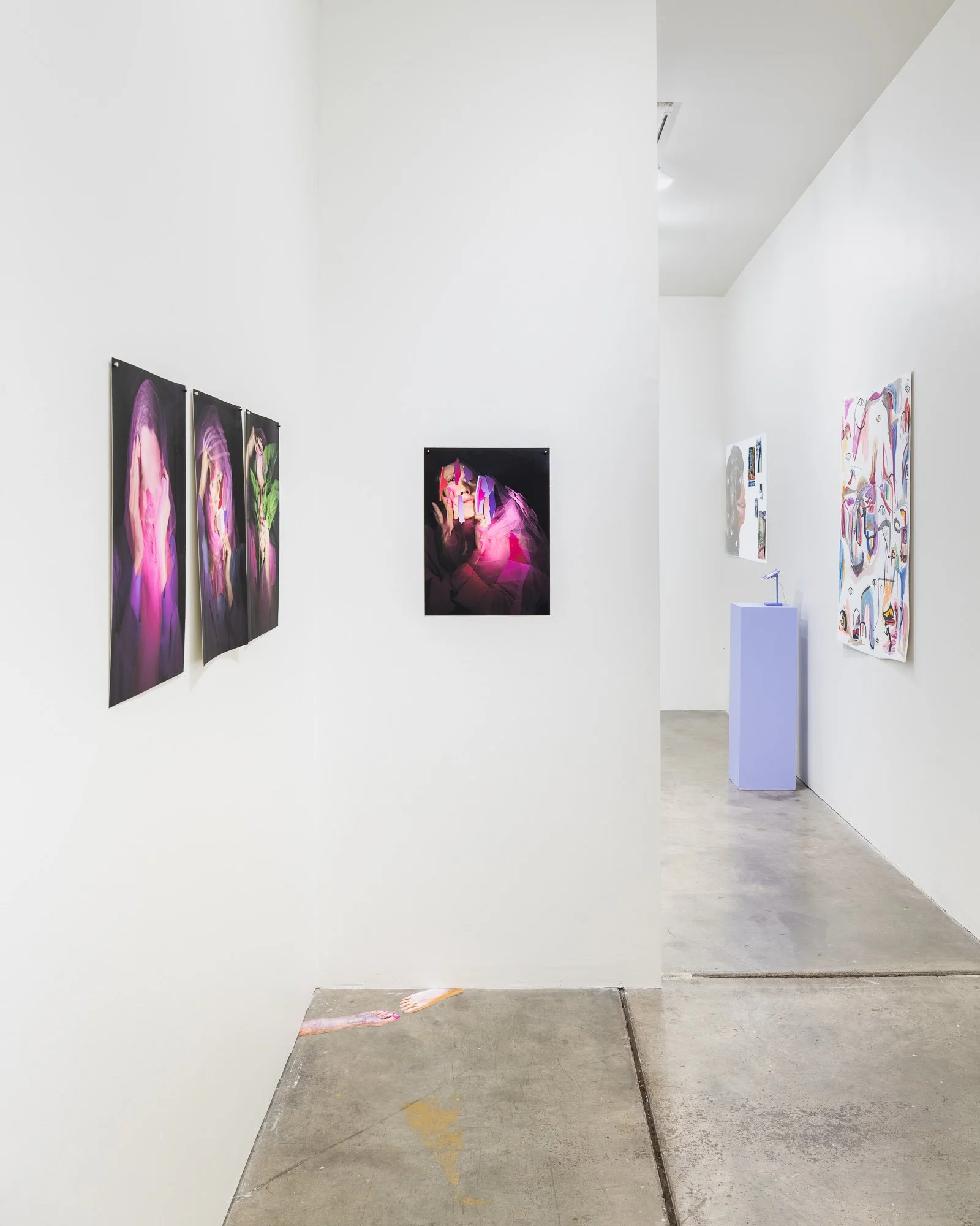 Most Nearly Perfect Ham, 2026, exhibition installation view