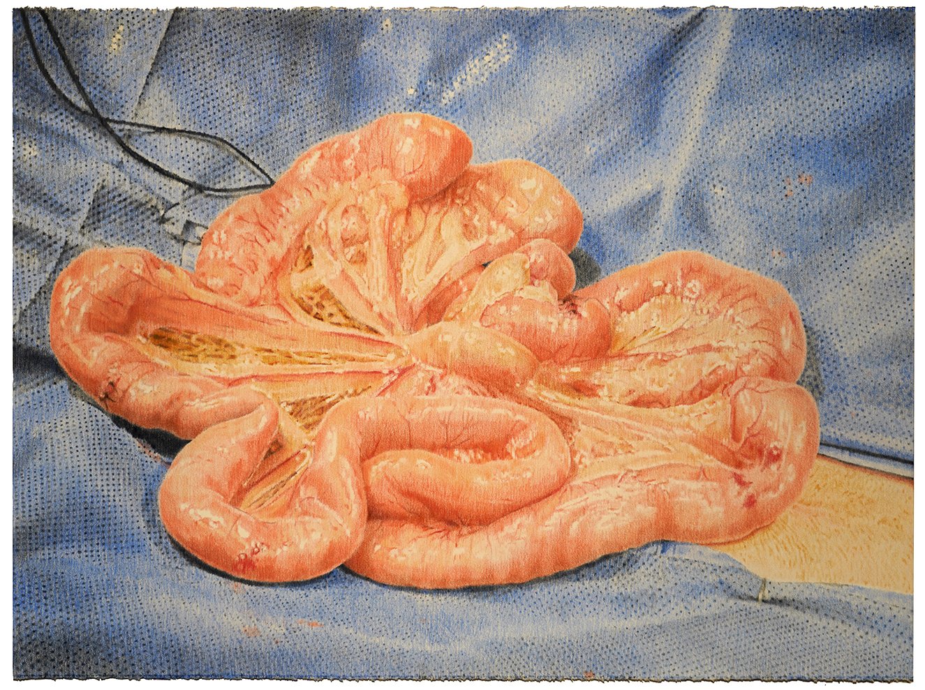 Tum, colored pencil on paper, 22 x 30 inches, 2025