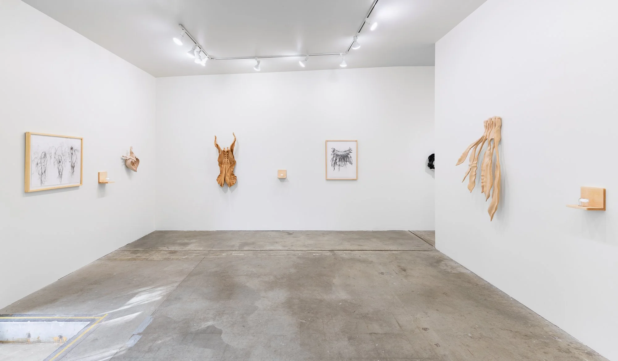 Affinity, 2026, exhibition installation view