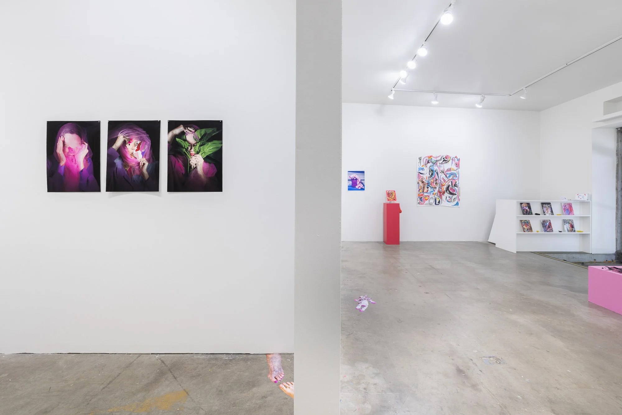 Most Nearly Perfect Ham, 2026, exhibition installation view