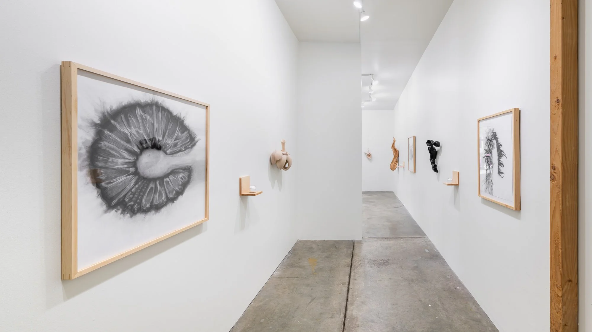 Affinity, 2026, exhibition installation view