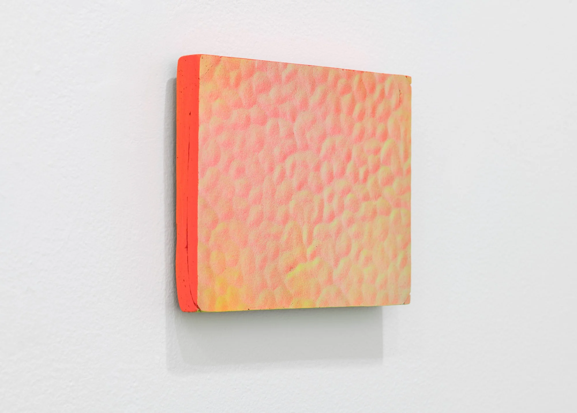 Domestic Topographies, 2026, exhibition installation view