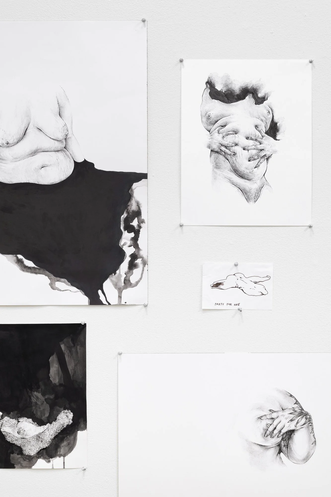 Terroir, 2026, exhibition installation view