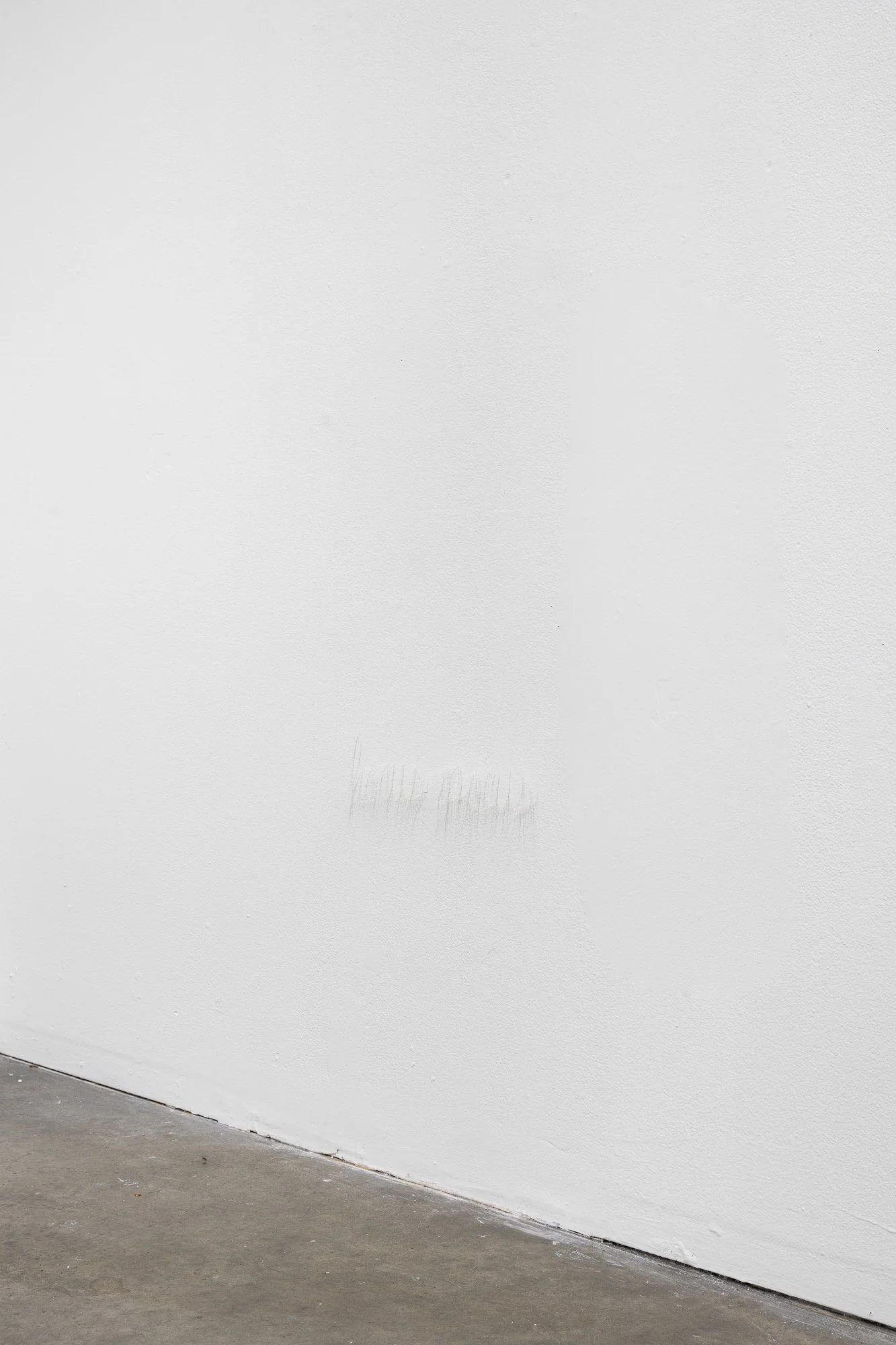 ₍^. .^₎⟆ ~&~ /|\ ^._.^ /|\, 2025, exhibition installation view