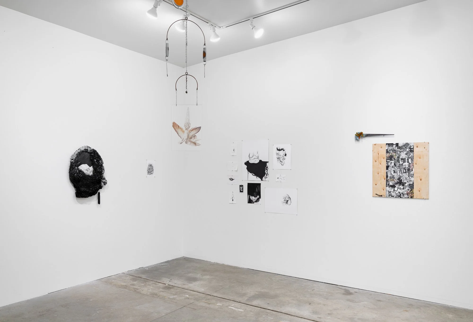 Terroir, 2026, exhibition installation view