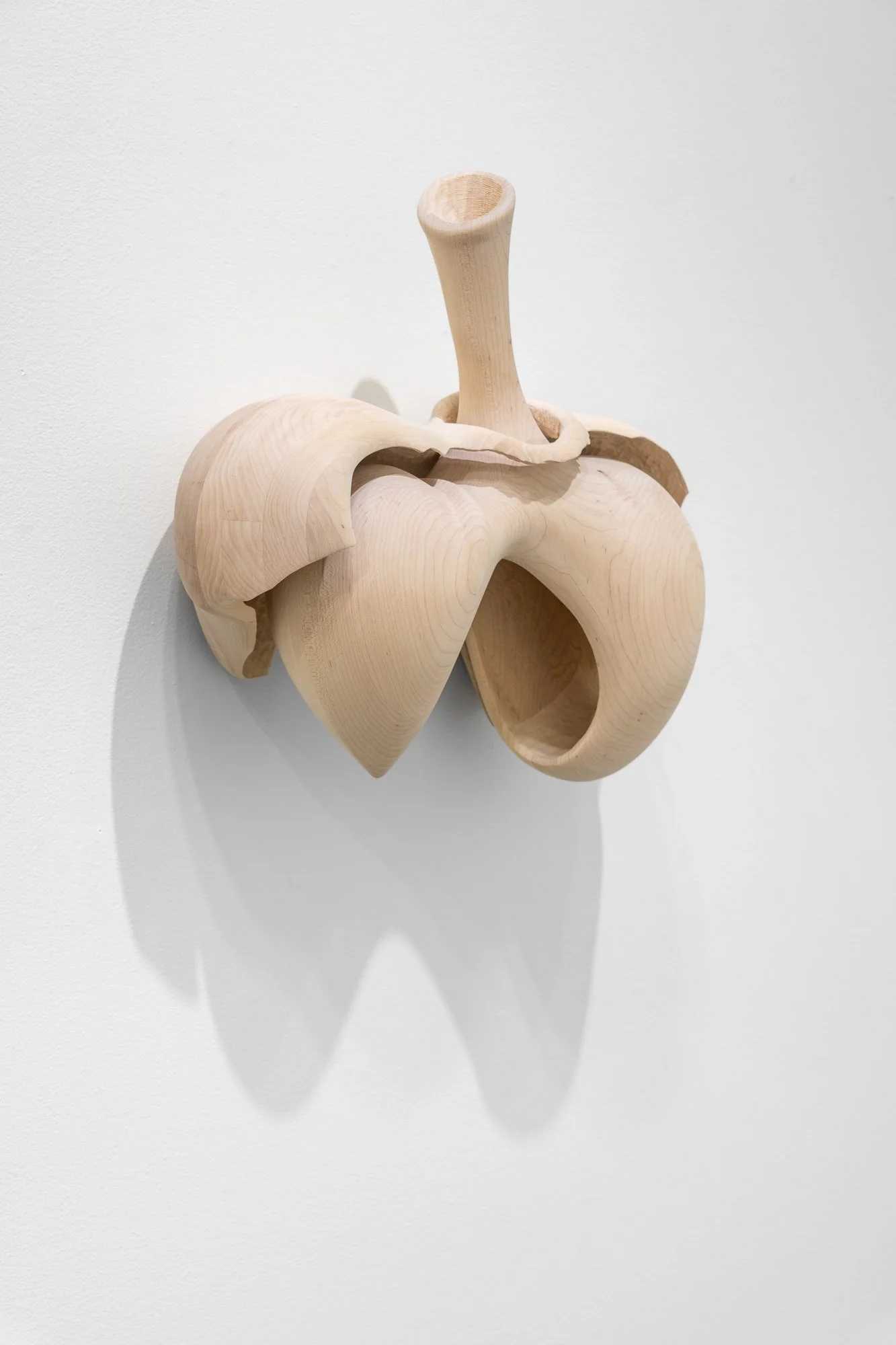 Affinity, 2026, exhibition installation view