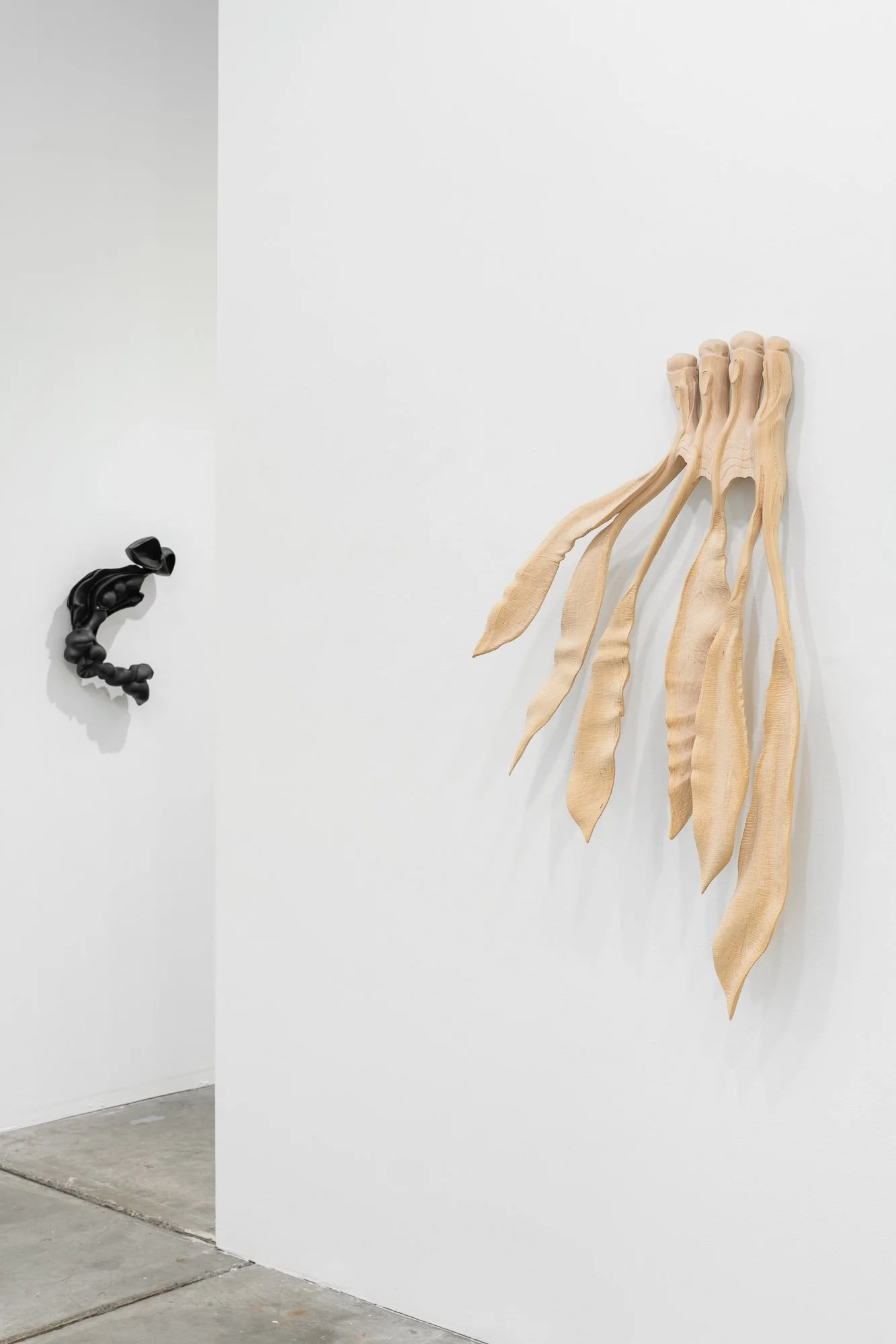 Affinity, 2026, exhibition installation view