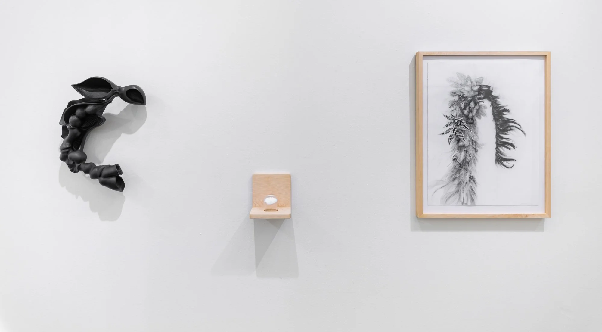 Affinity, 2026, exhibition installation view