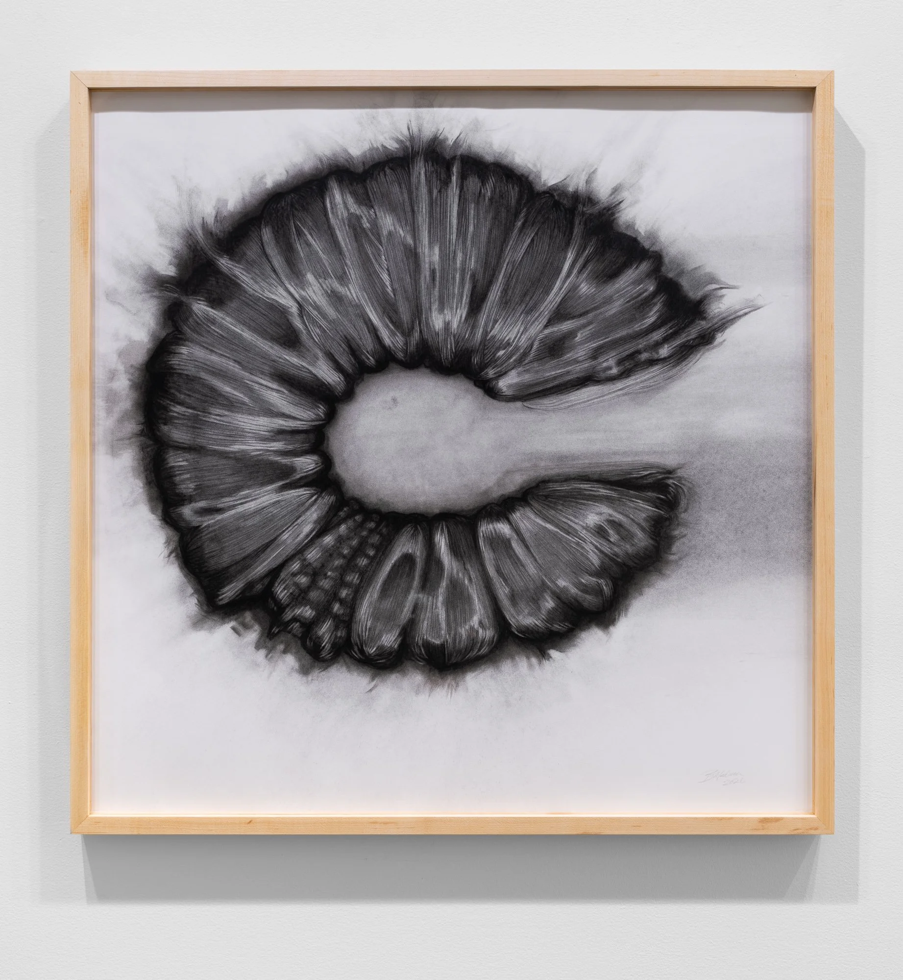 Affinity, 2026, exhibition installation view