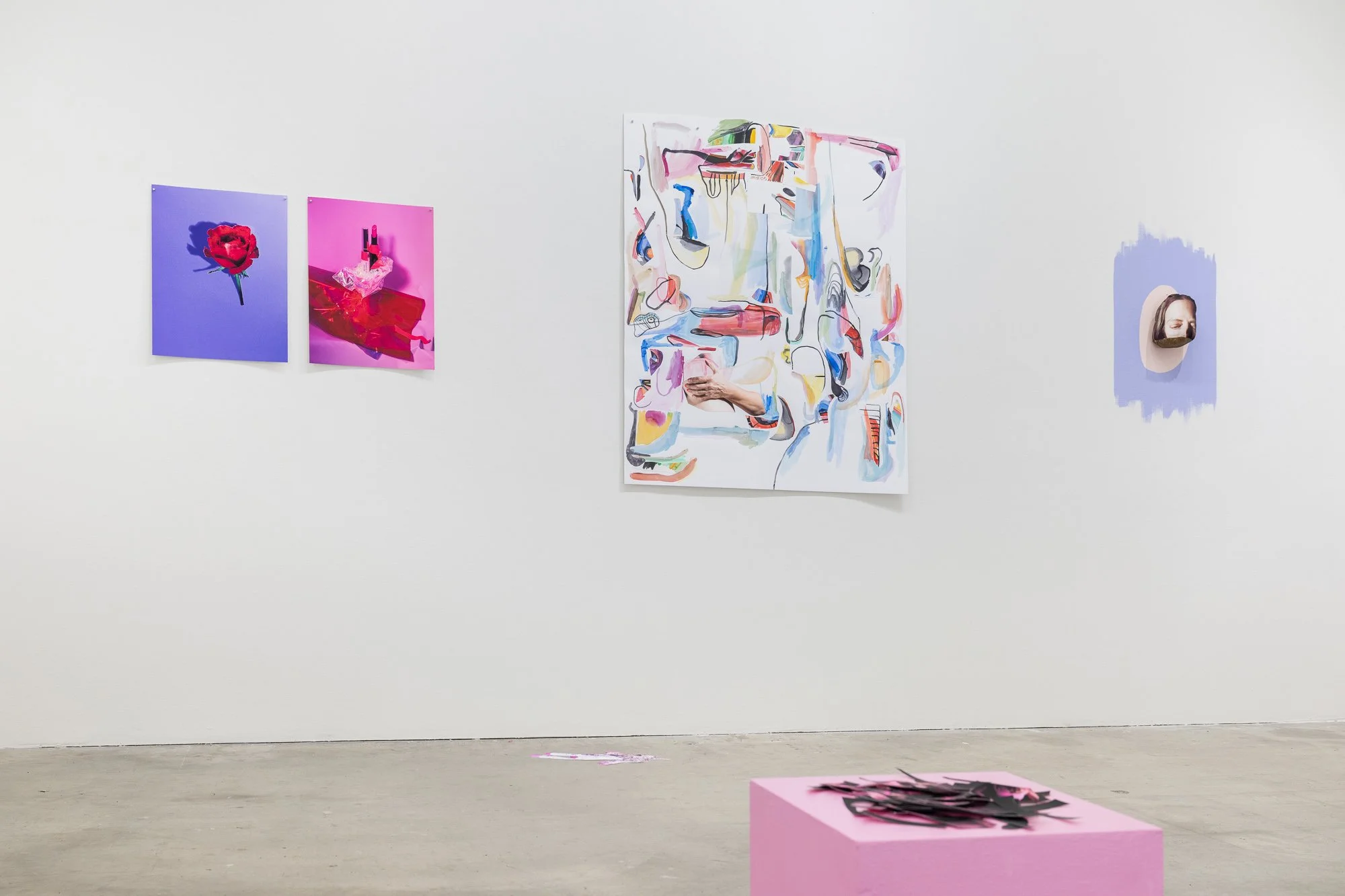 Most Nearly Perfect Ham, 2026, exhibition installation view