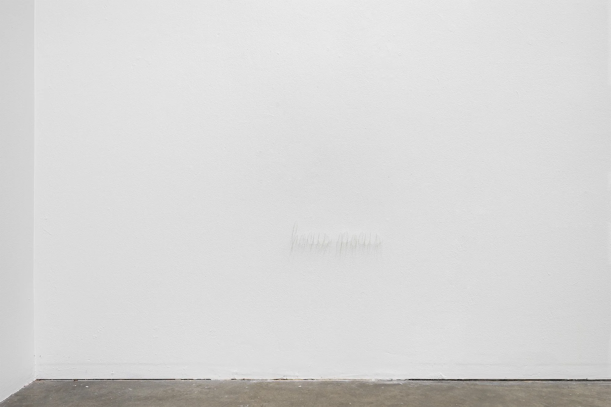 ₍^. .^₎⟆ ~&~ /|\ ^._.^ /|\, 2025, exhibition installation view