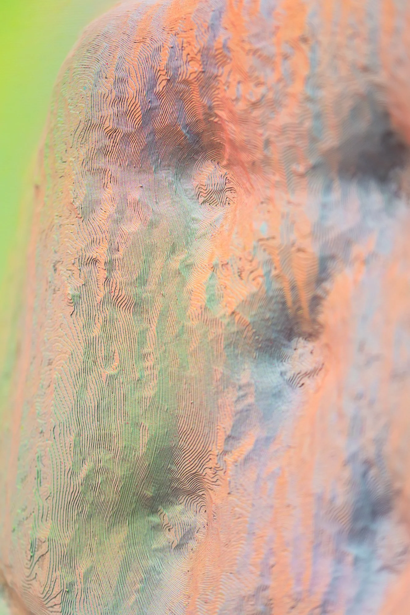 Domestic Topographies, 2026, exhibition installation view