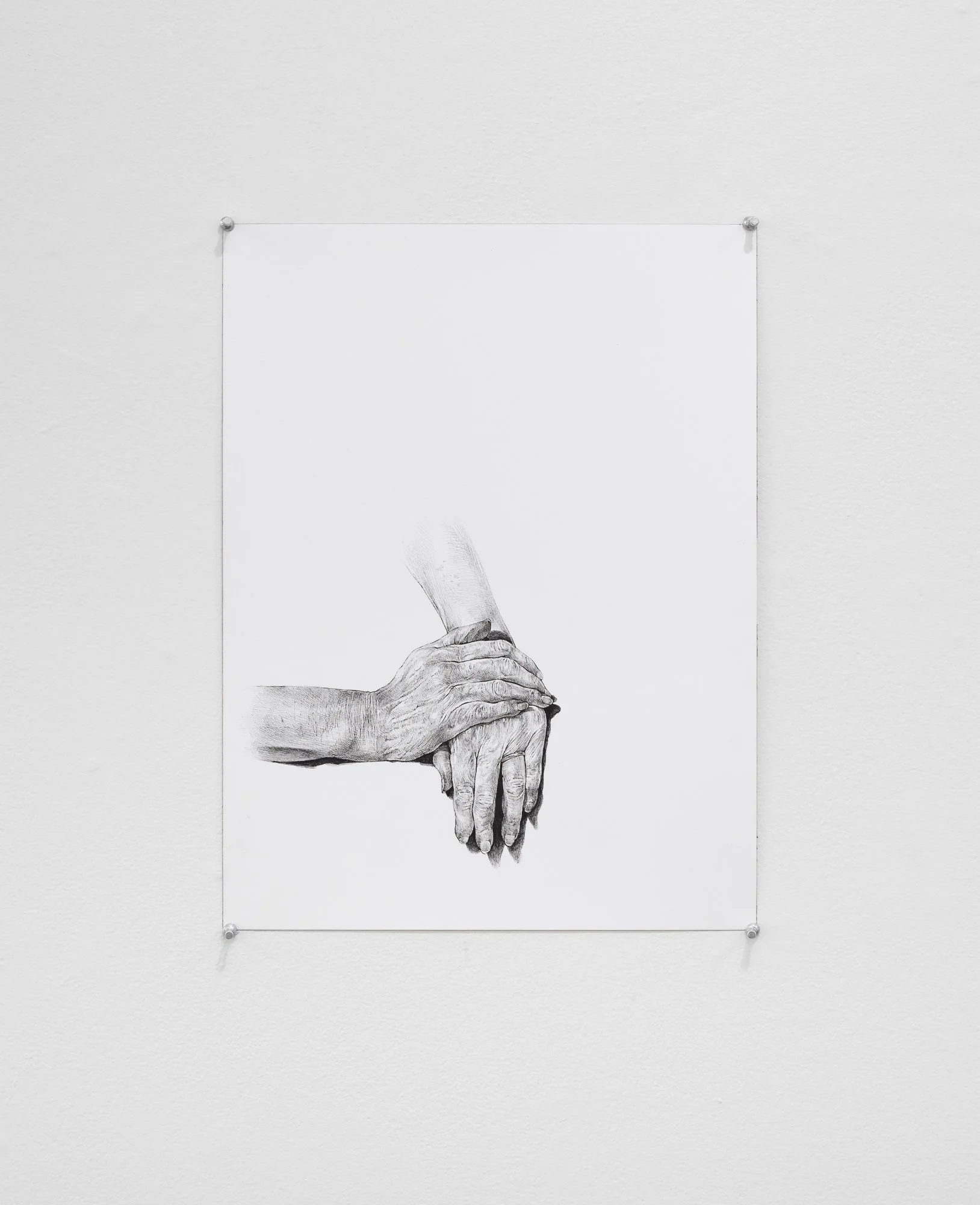 Terroir, 2026, exhibition installation view