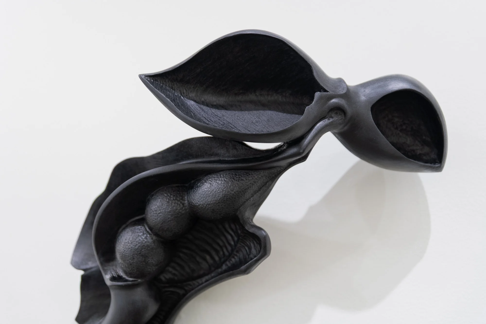 Affinity, 2026, exhibition installation view