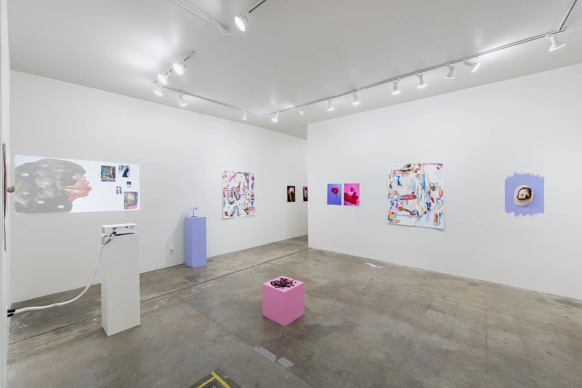 Most Nearly Perfect Ham, 2026, exhibition installation view