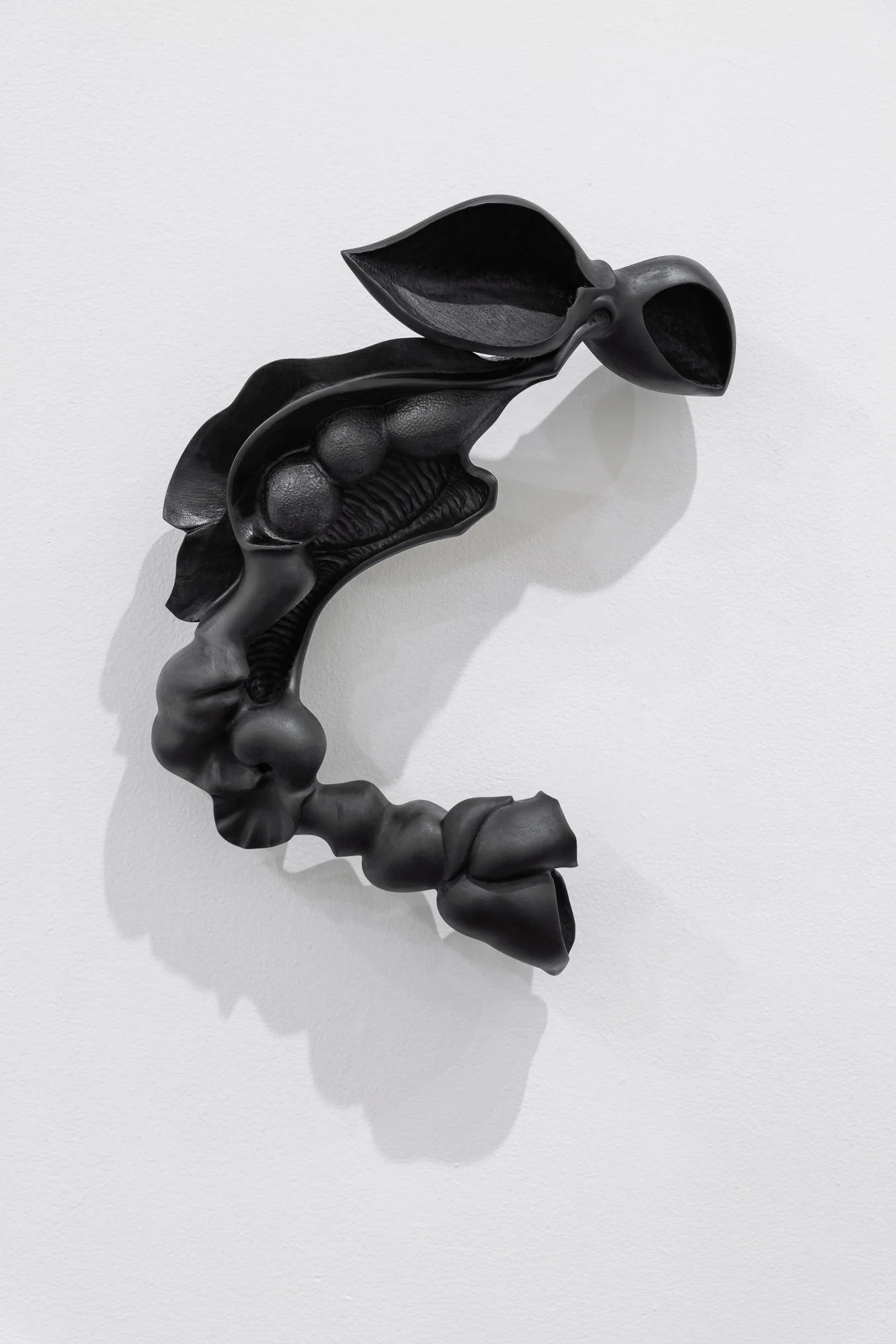 Affinity, 2026, exhibition installation view