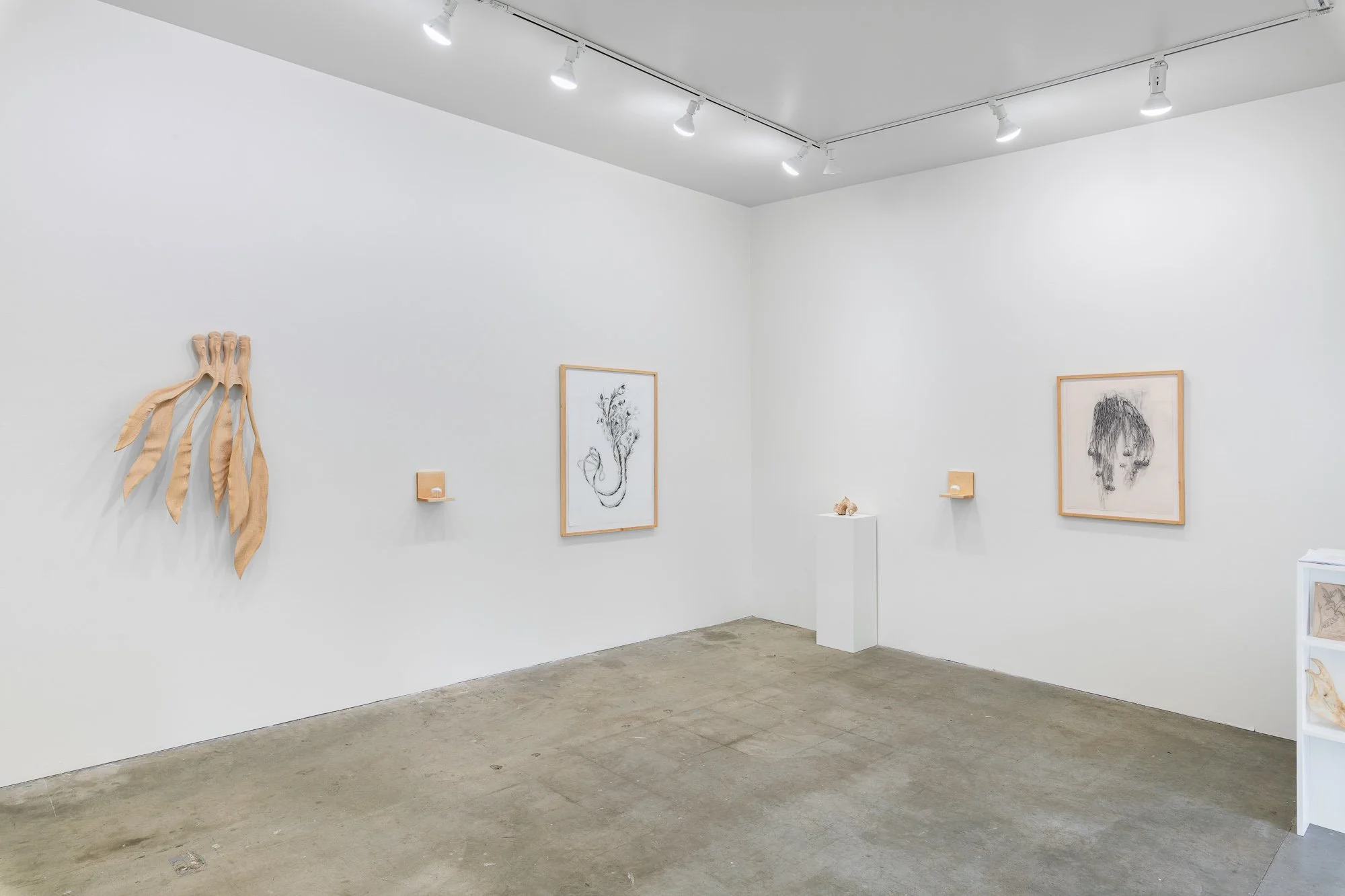 Affinity, 2026, exhibition installation view