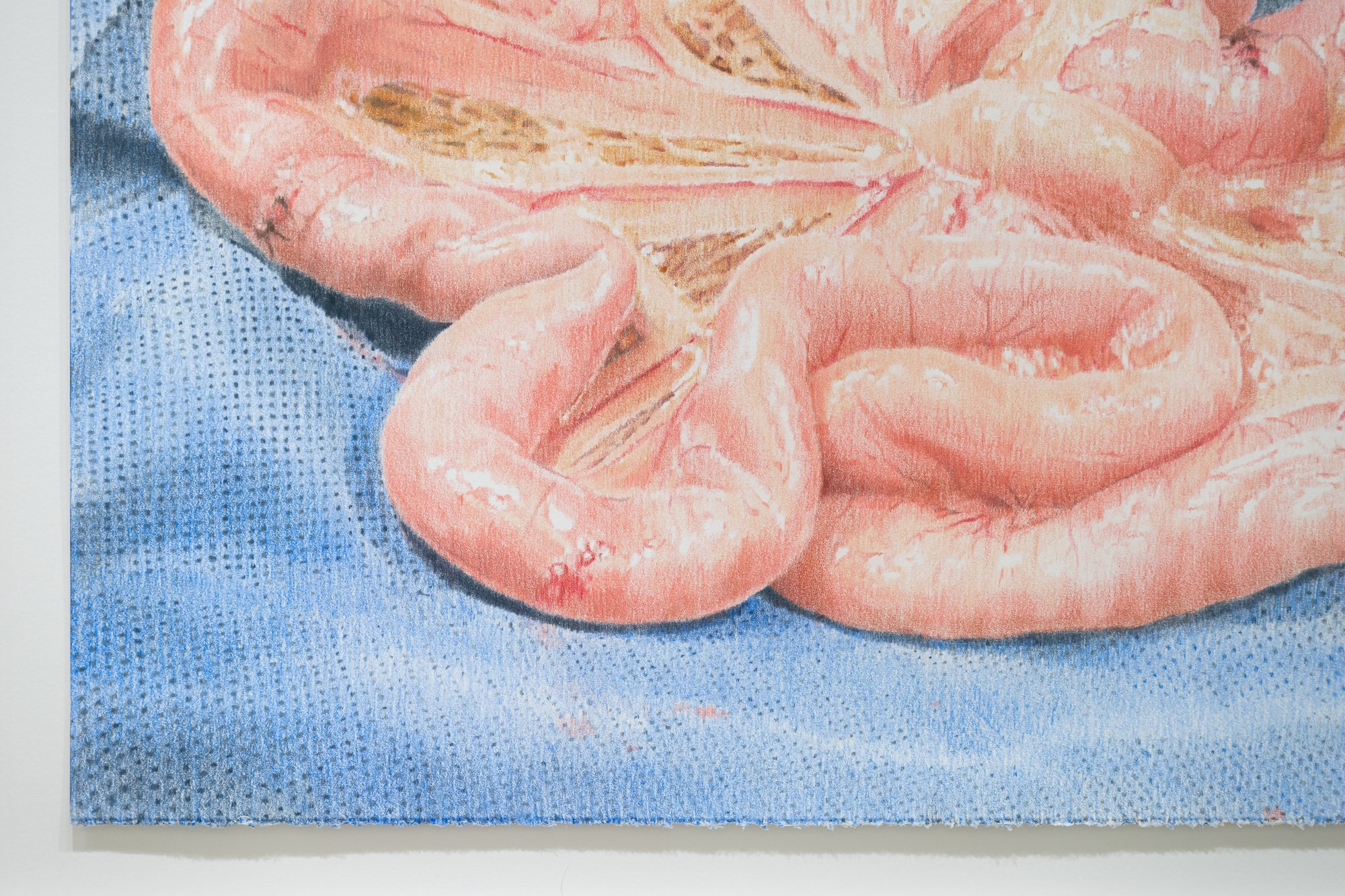 ₍^. .^₎⟆ ~&~ /|\ ^._.^ /|\, 2025, exhibition installation view