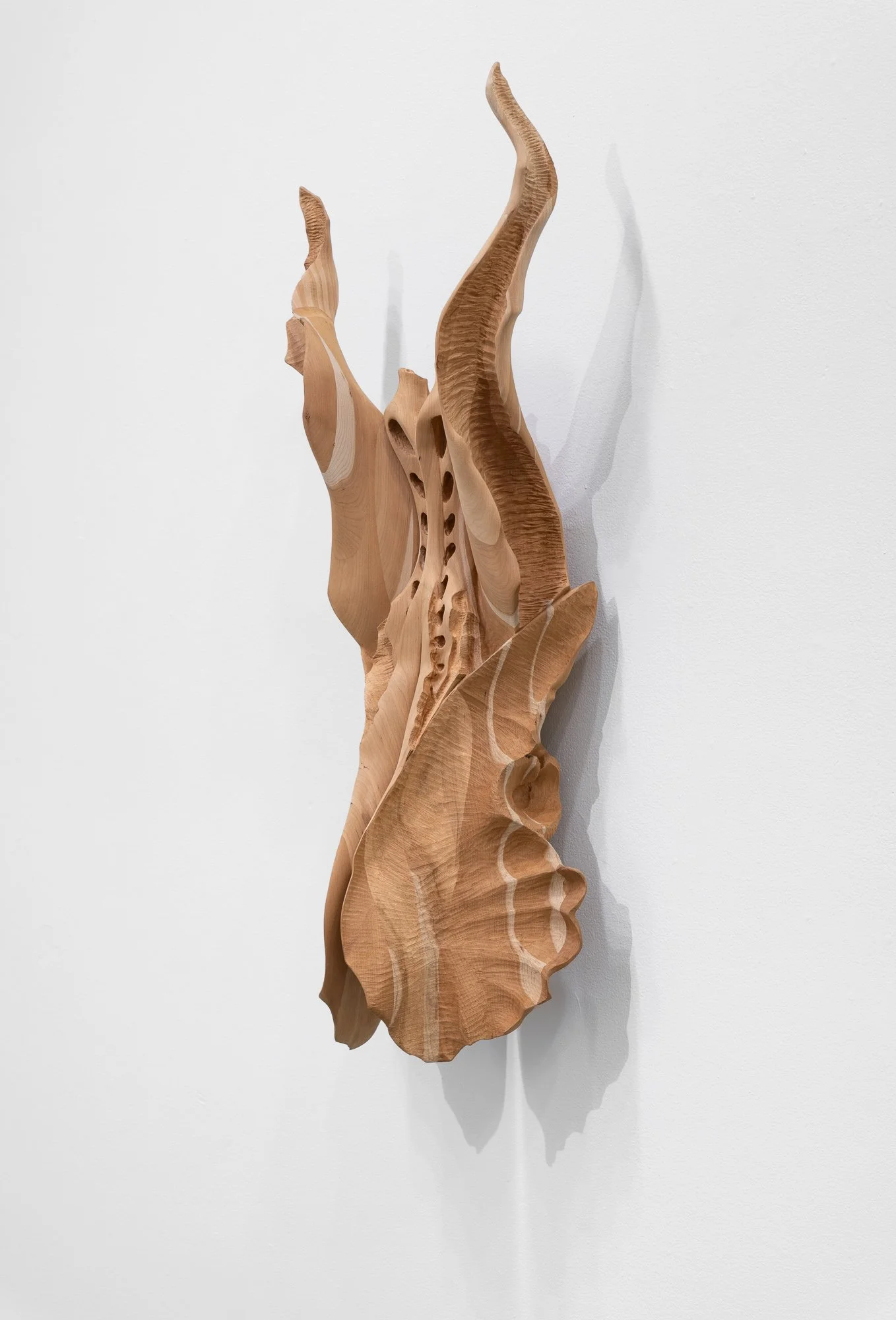 Affinity, 2026, exhibition installation view