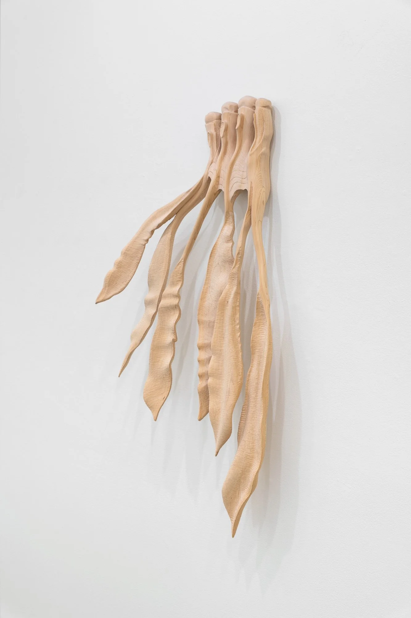 Affinity, 2026, exhibition installation view