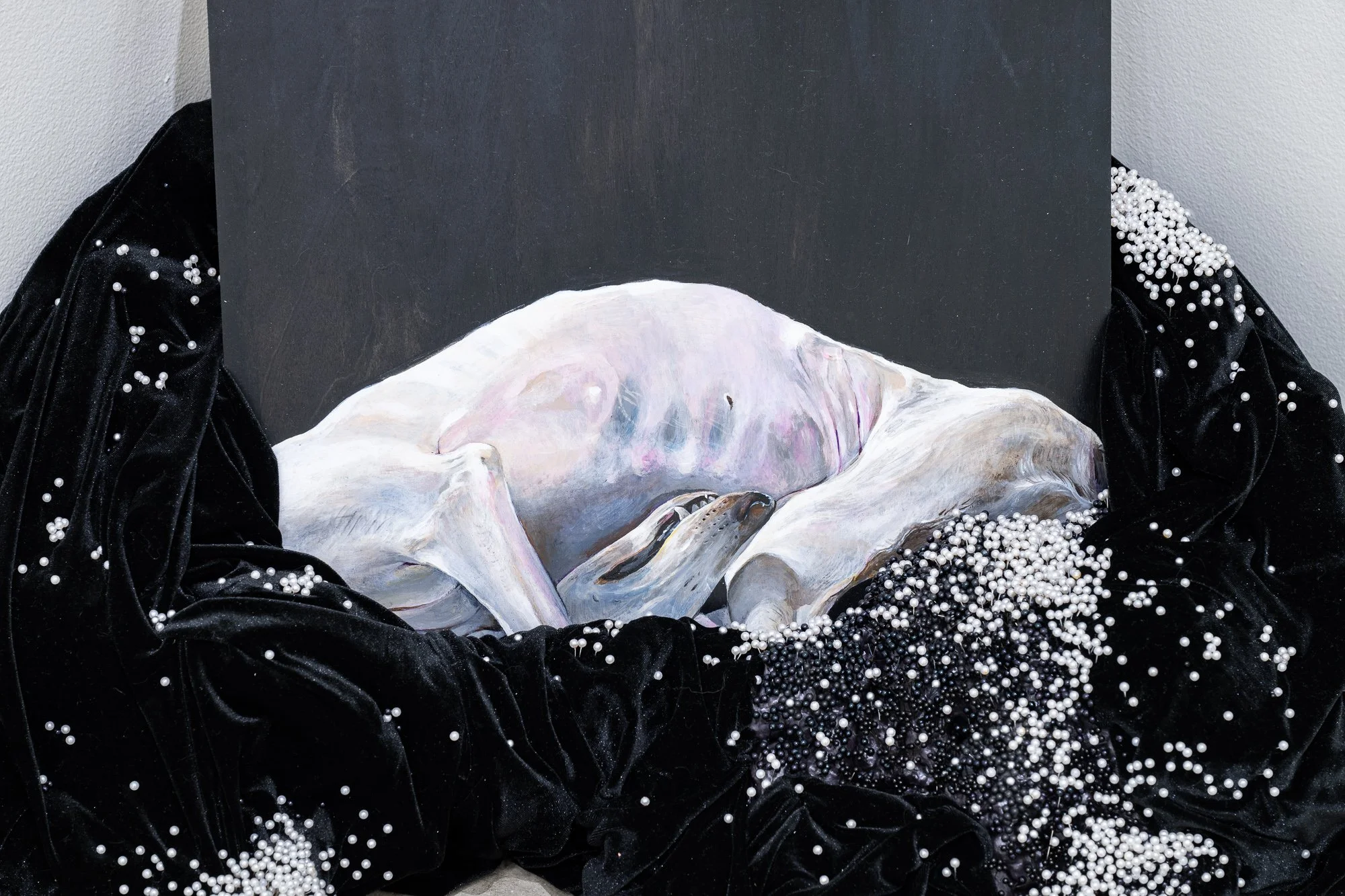 Terroir, 2026, exhibition installation view