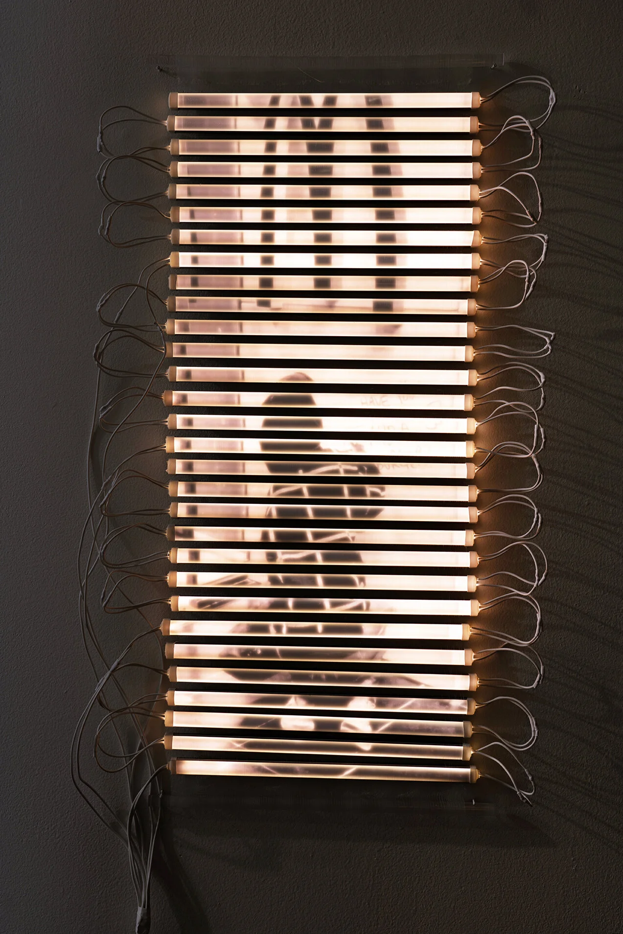 Have You Had A Burger?, 2021, exhibition installation view