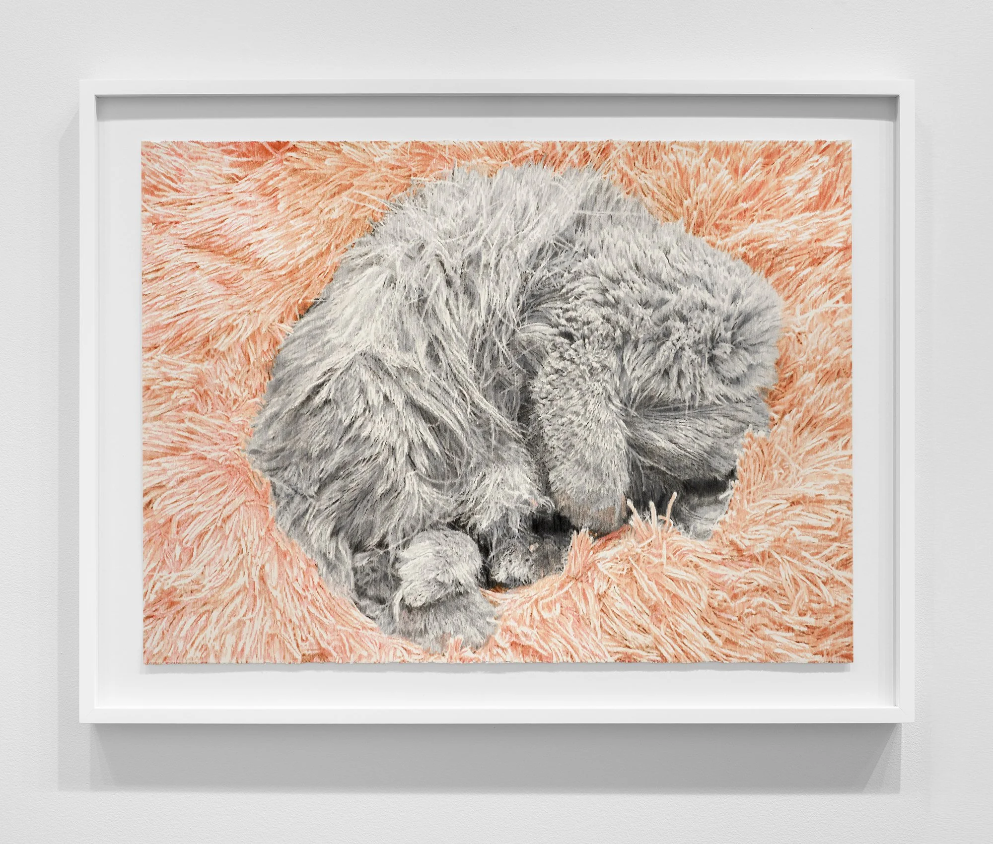 ₍^. .^₎⟆ ~&~ /|\ ^._.^ /|\, 2025, exhibition installation view