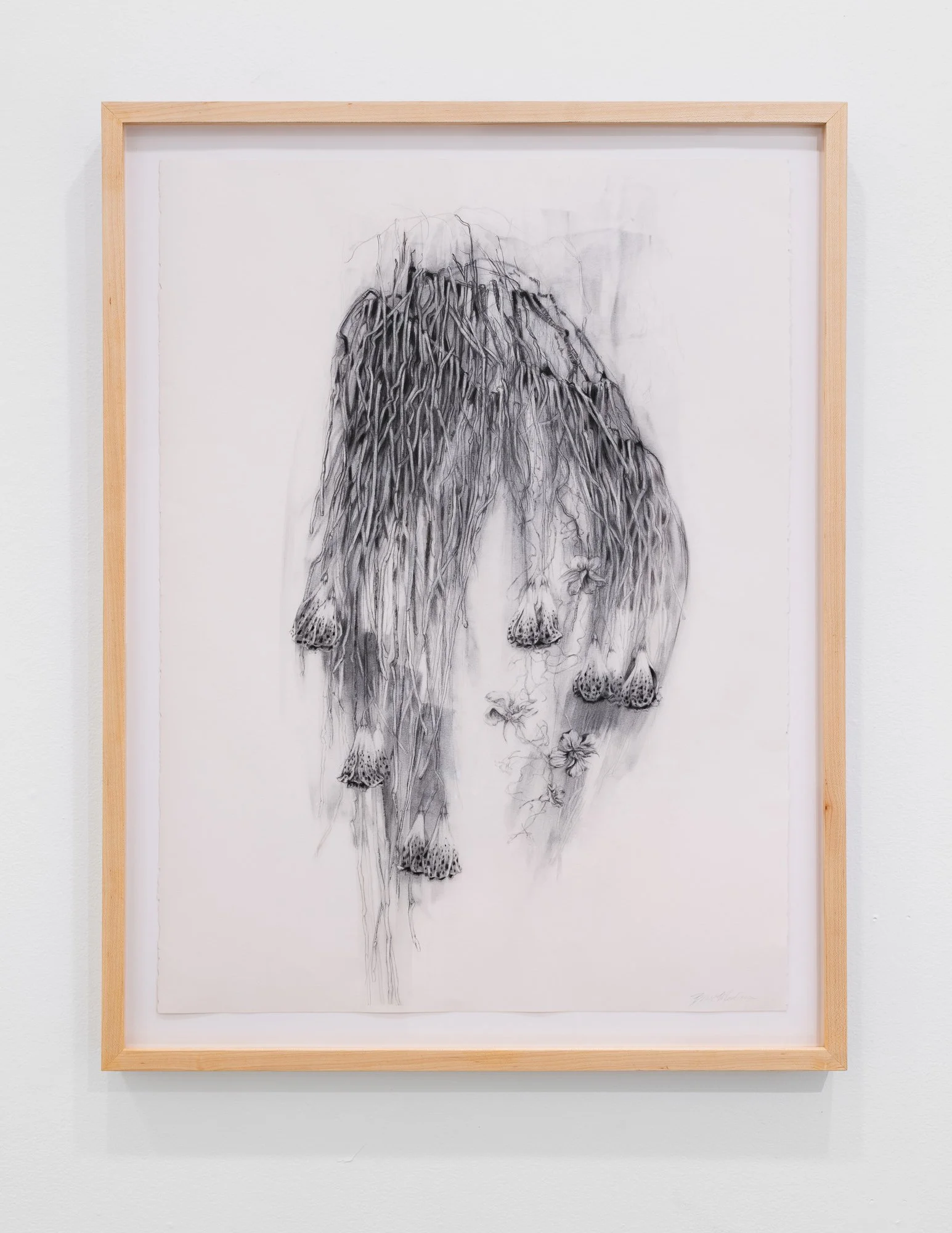 Affinity, 2026, exhibition installation view