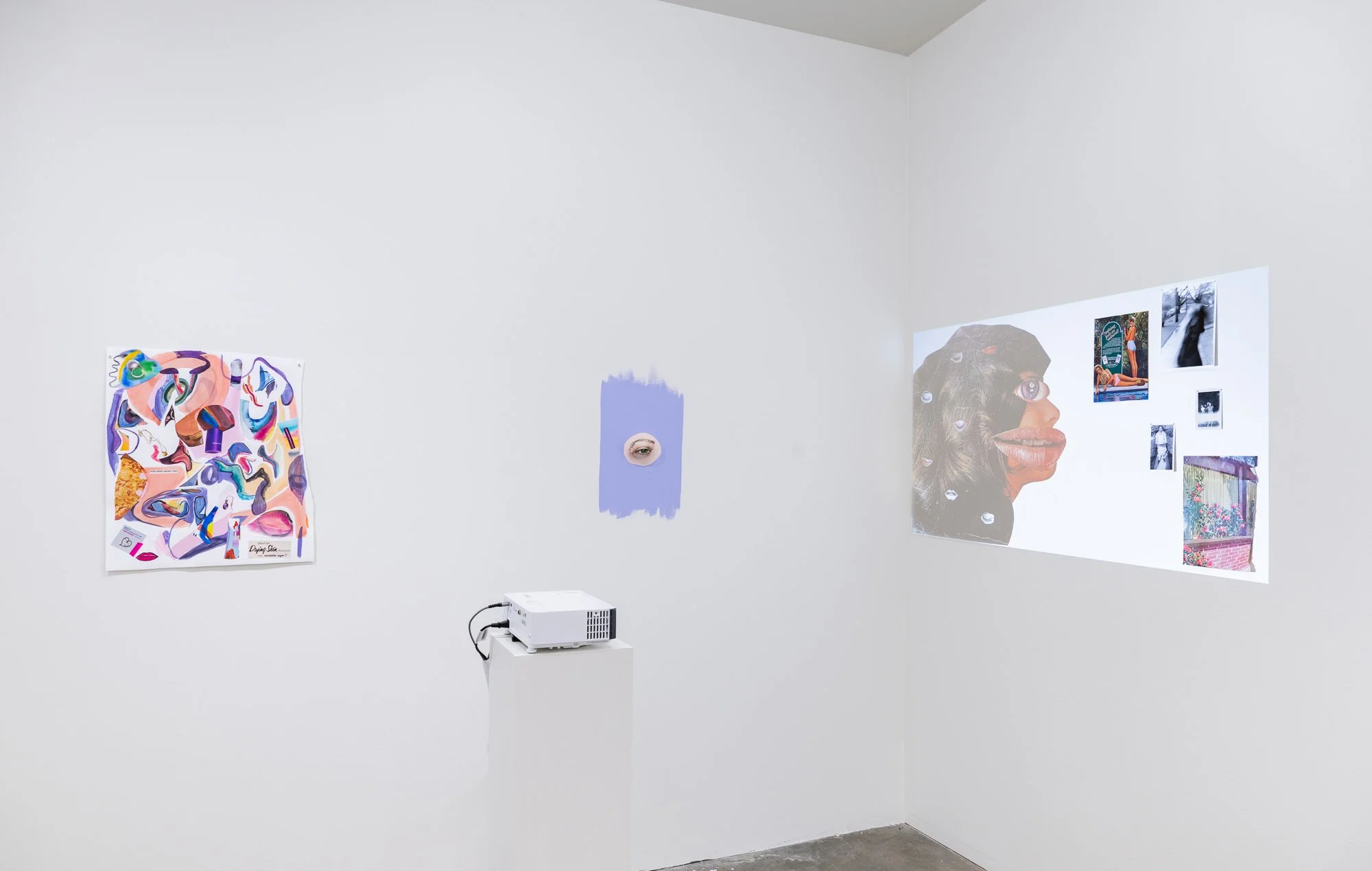 Most Nearly Perfect Ham, 2026, exhibition installation view