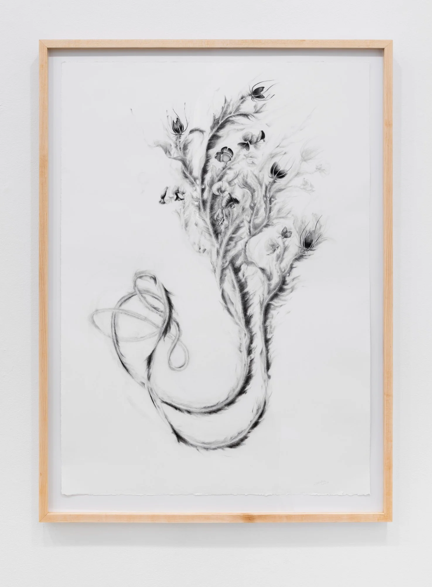 Affinity, 2026, exhibition installation view