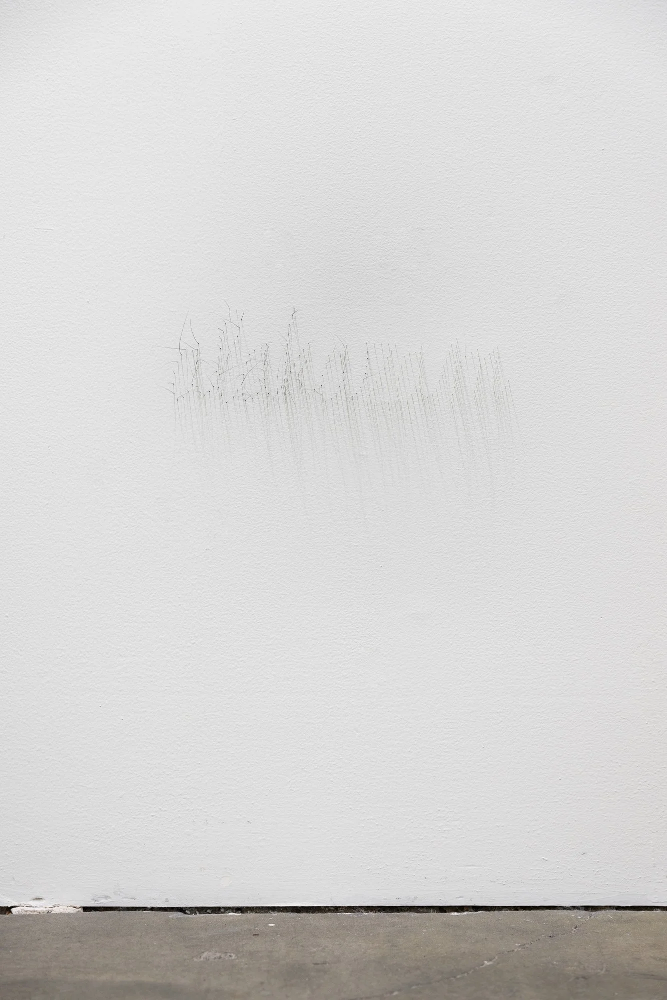 ₍^. .^₎⟆ ~&~ /|\ ^._.^ /|\, 2025, exhibition installation view