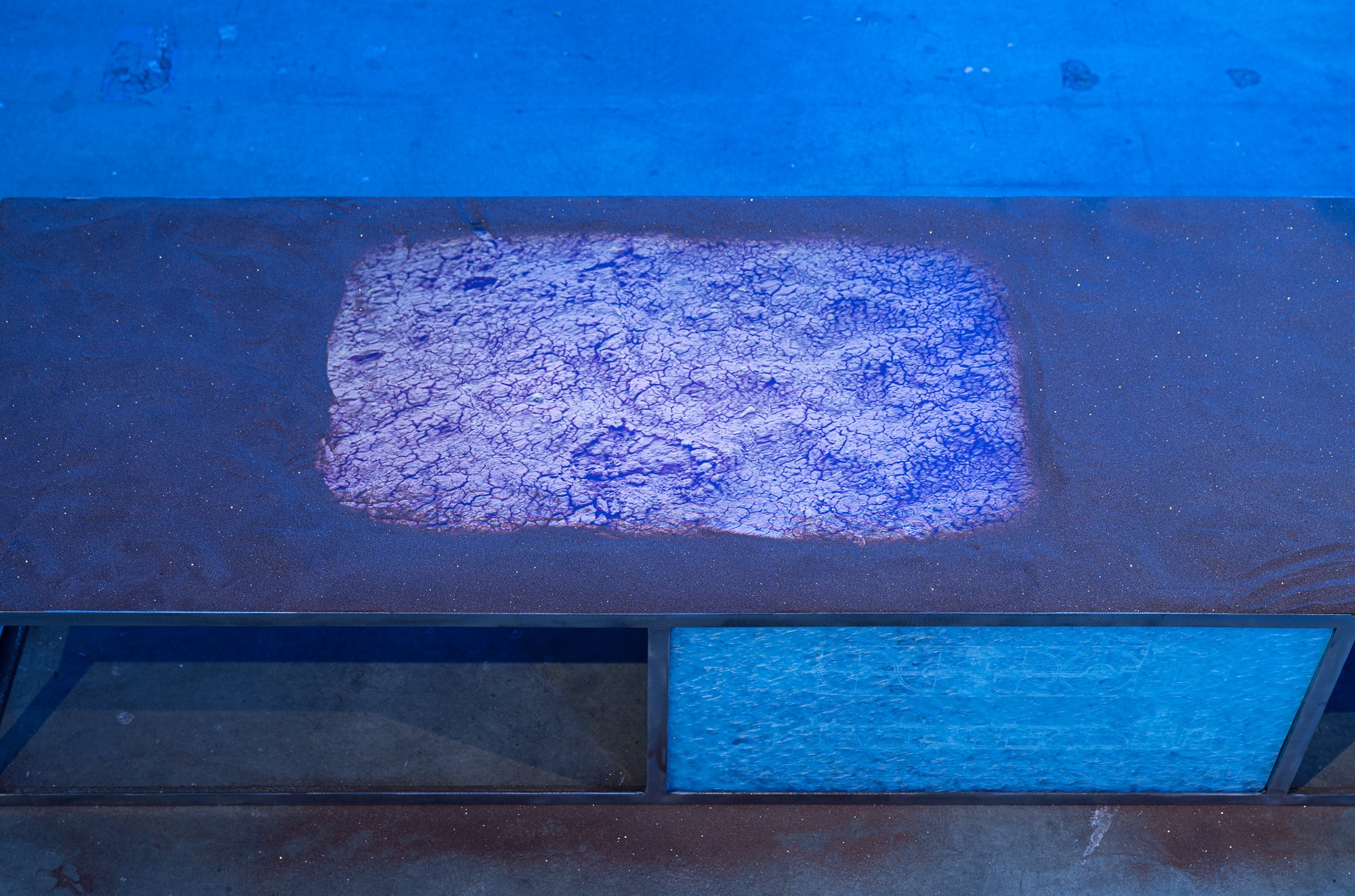 The Emergent Field of Becoming, 2026, exhibition installation view
