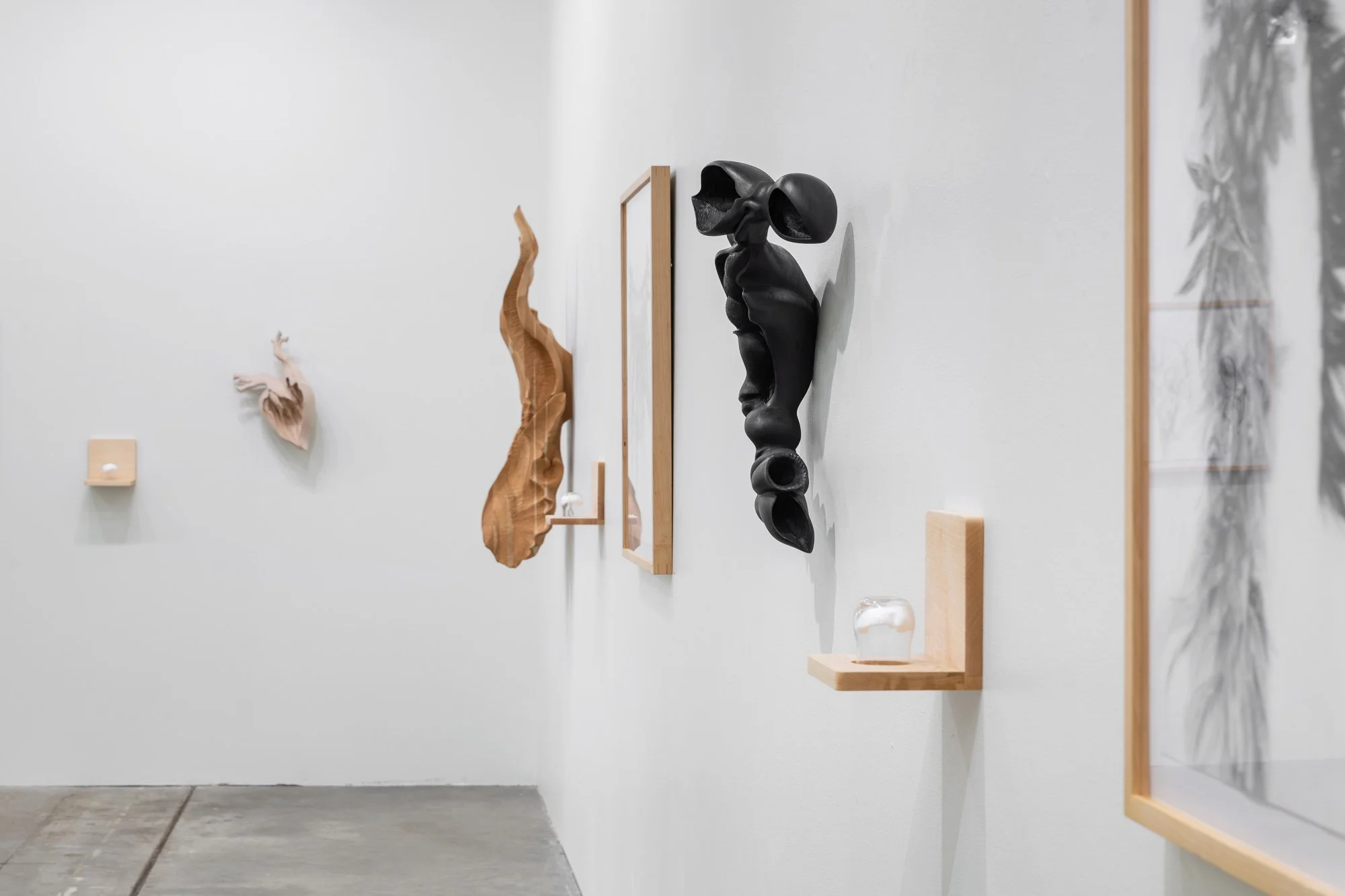 Affinity, 2026, exhibition installation view