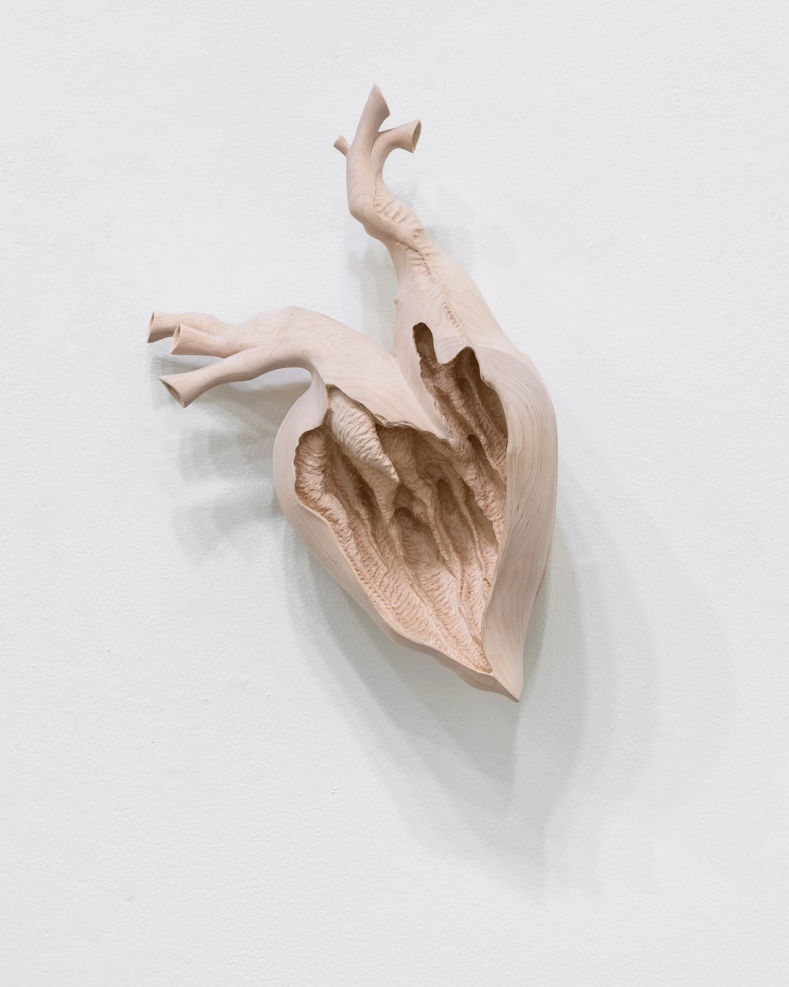 Affinity, 2026, exhibition installation view